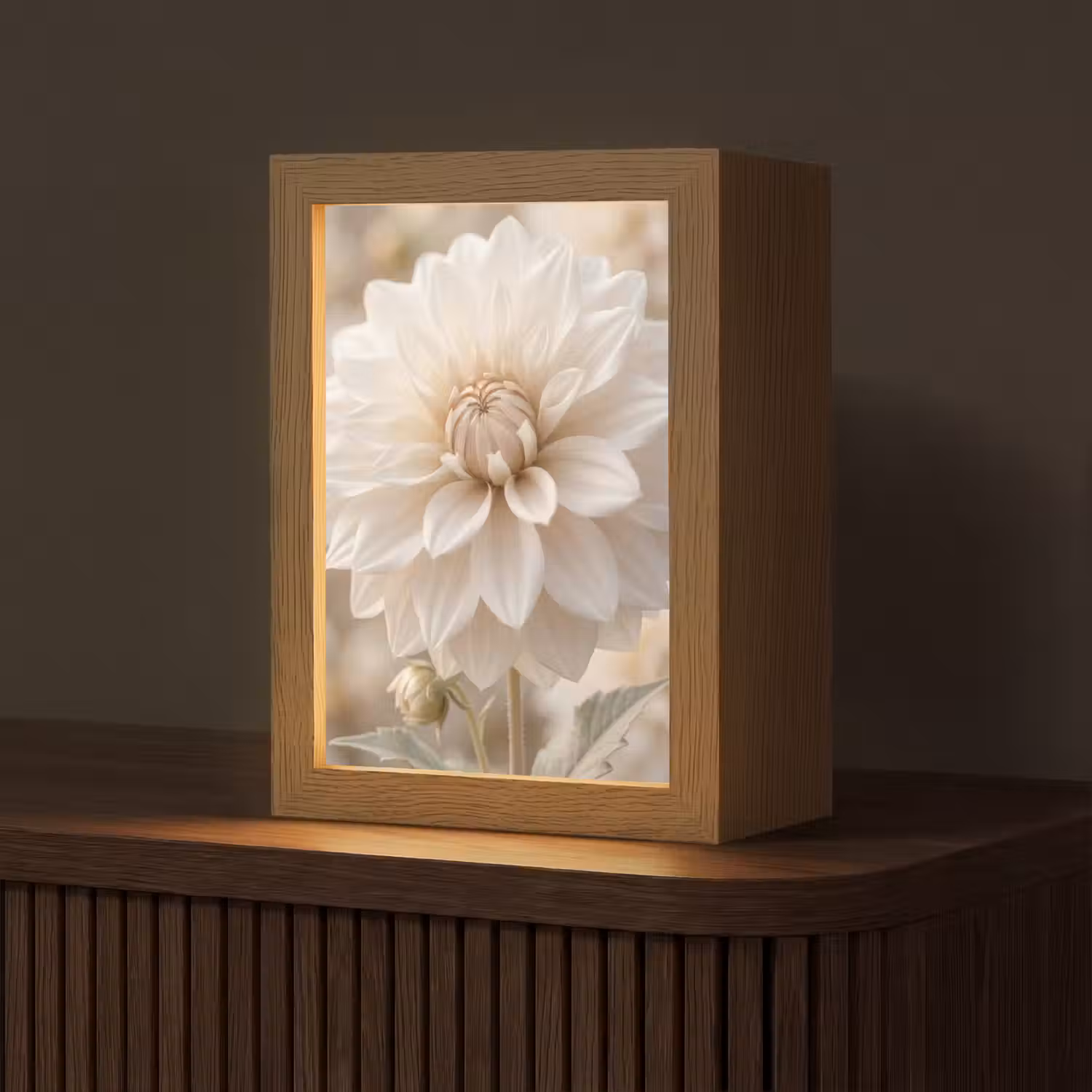 Bloem - Dahlia - Wit Light Box met kabel (Tafellamp) klein -z3d_website