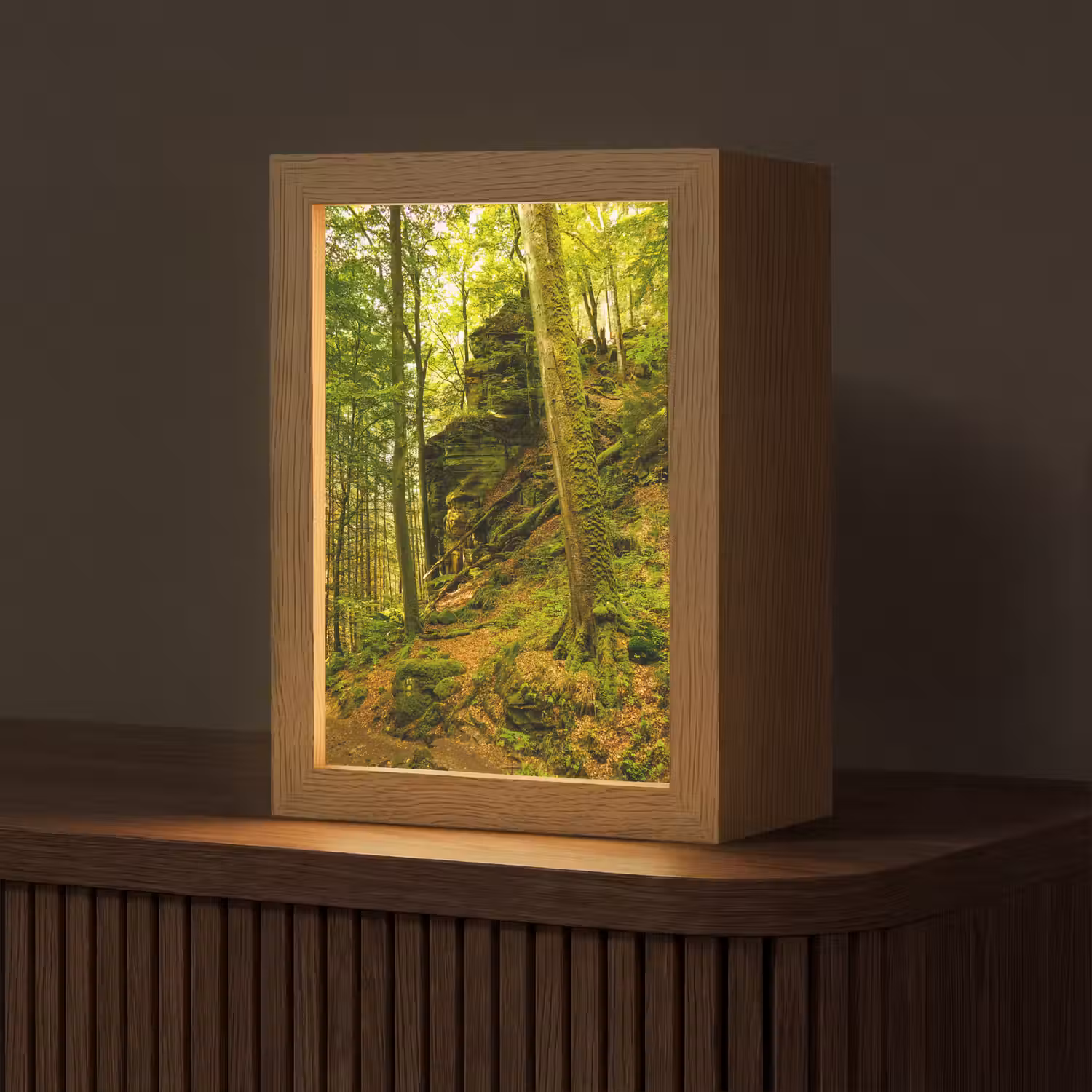Bomen - Steen - Bos - Natuur - Planten Light Box met kabel (Tafellamp) klein -z3d_website
