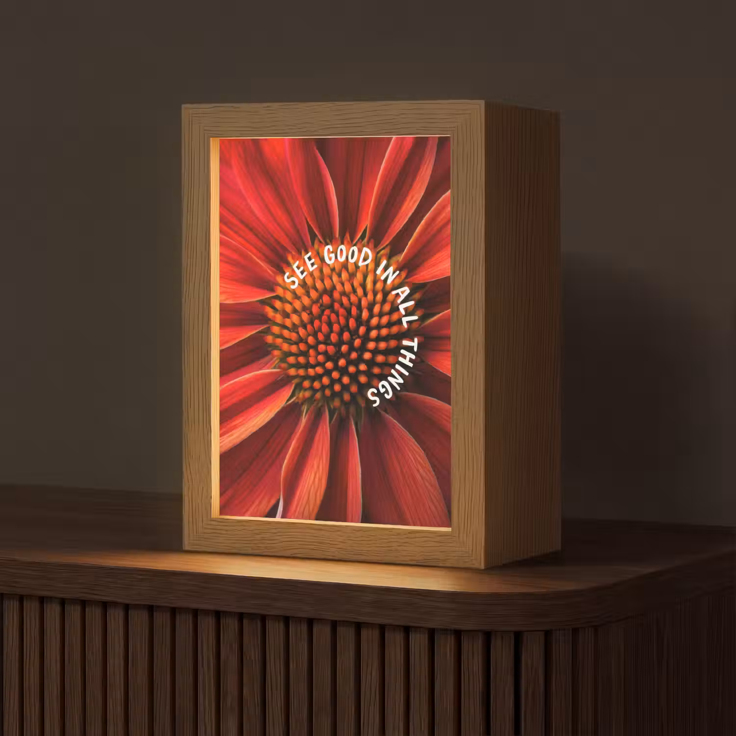 Close up - Bloem - Quote - Rood Light Box met kabel (Tafellamp) klein -z3d_website