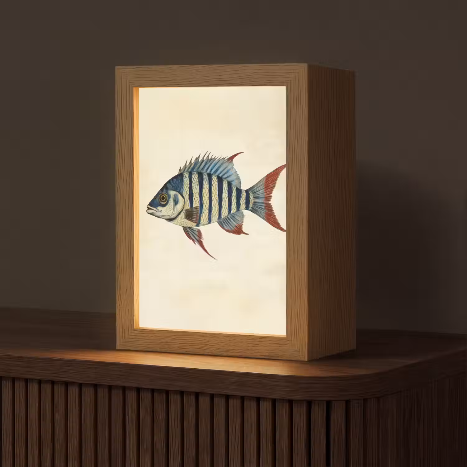 Gestreept - Donkerblauw - Rugvin - Vis Light Box met kabel (Tafellamp) klein -z3d_website