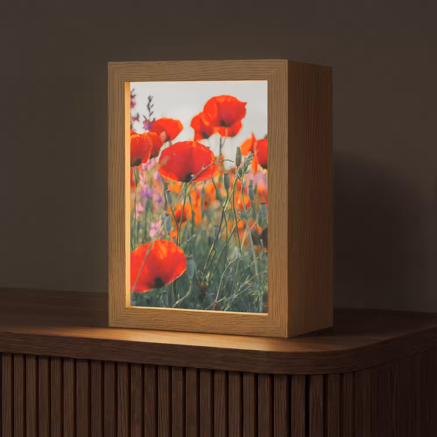 Klaproos - Bloemen - Rood - Paars - Weide Light Box met kabel (Tafellamp) klein -z3d_website