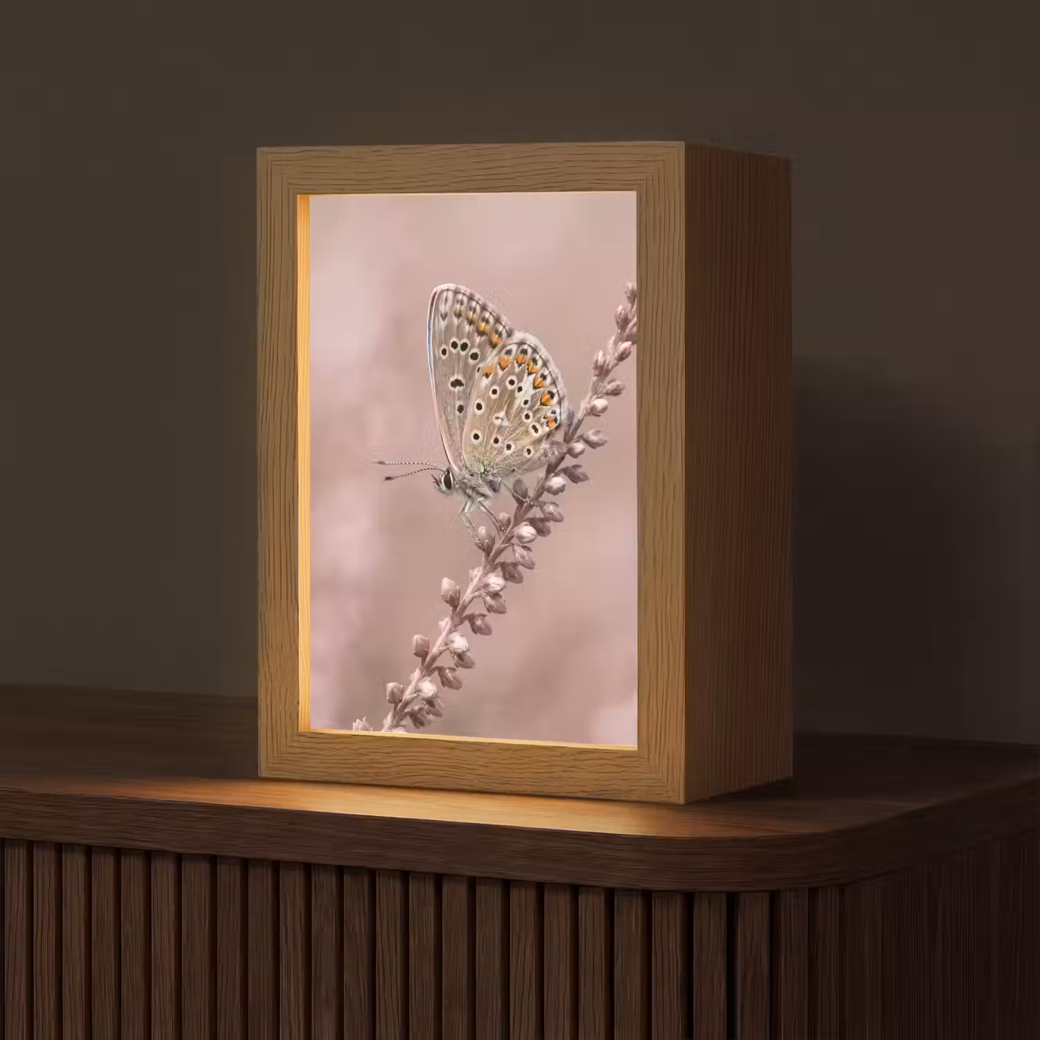 Lavendel - Vlinder - Paars Light Box met kabel (Tafellamp) klein -z3d_website