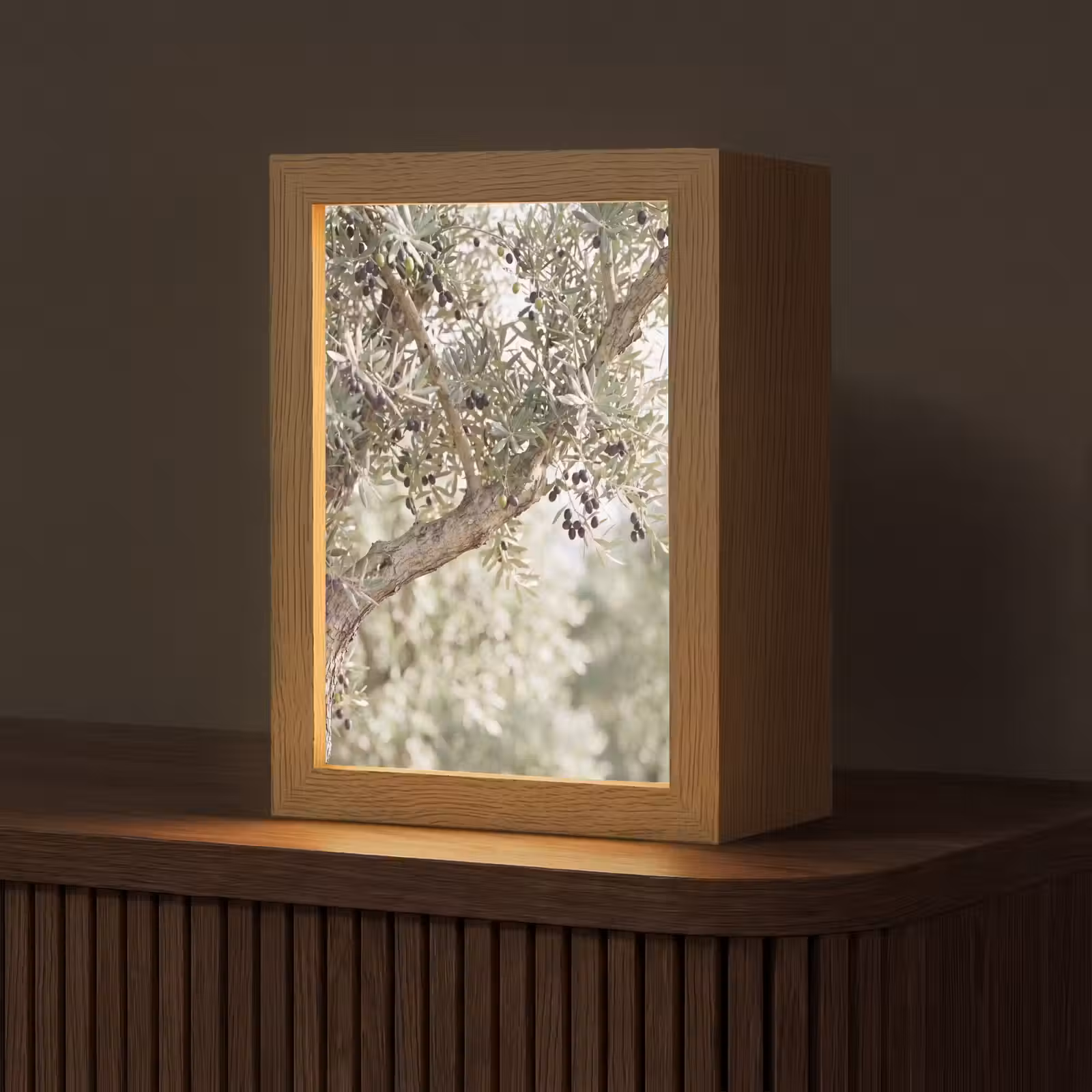 Tafellamp - Olijfboom - tak - groen - Olijfboom - tak - groen Light Box met kabel (Tafellamp) klein