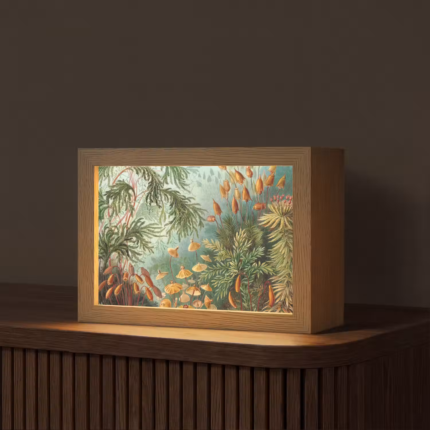 Oude meesters - Kunst - Muscinae - Haeckel Light Box met kabel (Tafellamp) klein -z3d_website