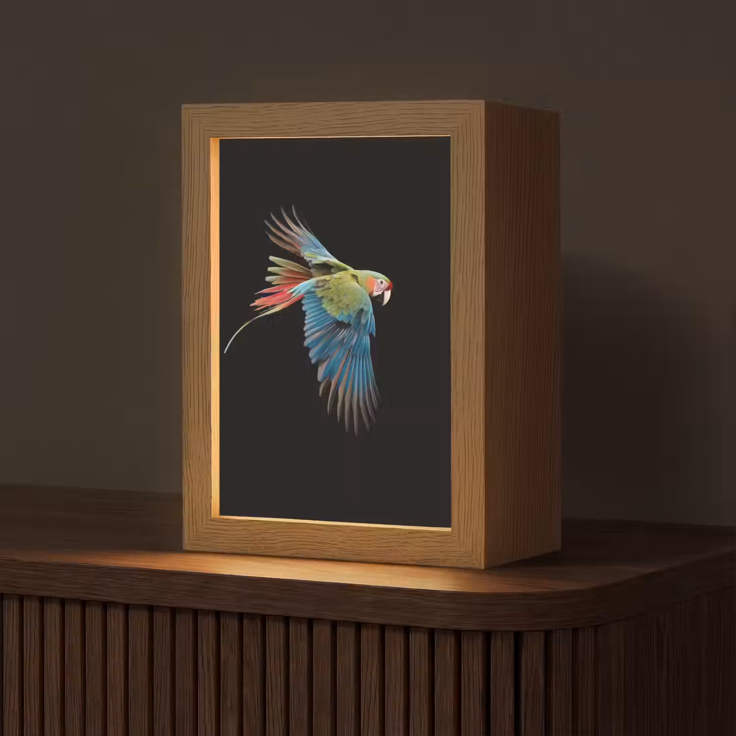 Papegaai - Kleurrijk - Vleugels - Sierlijk Light Box met kabel (Tafellamp) klein -z3d_website