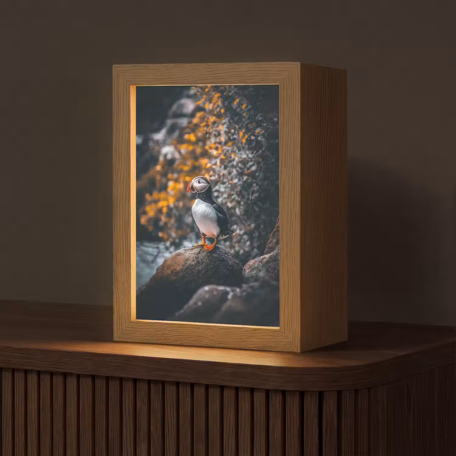 Papegaai - Vogel - Rots - Wit Light Box met kabel (Tafellamp) klein -z3d_website