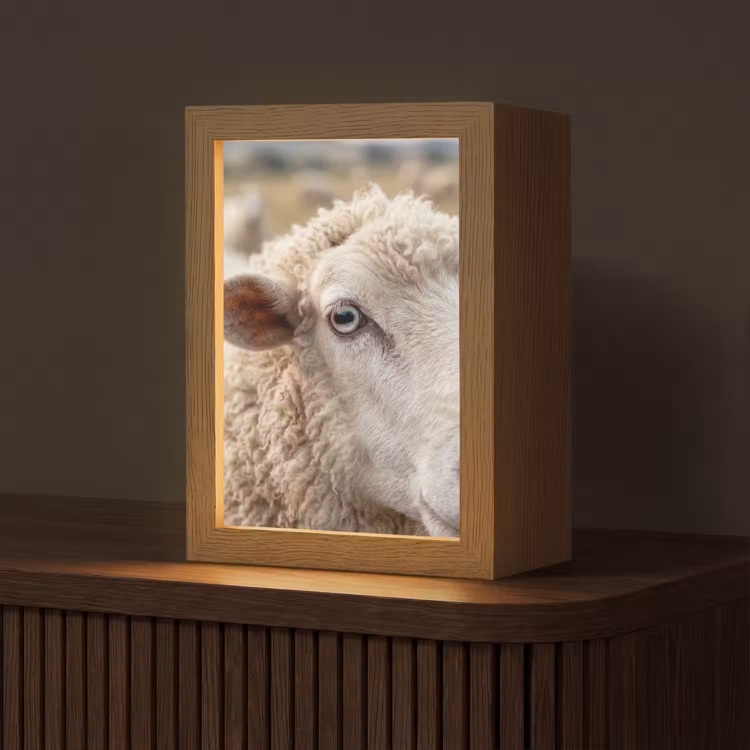 Schaap - Oog - Wit Light Box met kabel (Tafellamp) klein -z3d_website
