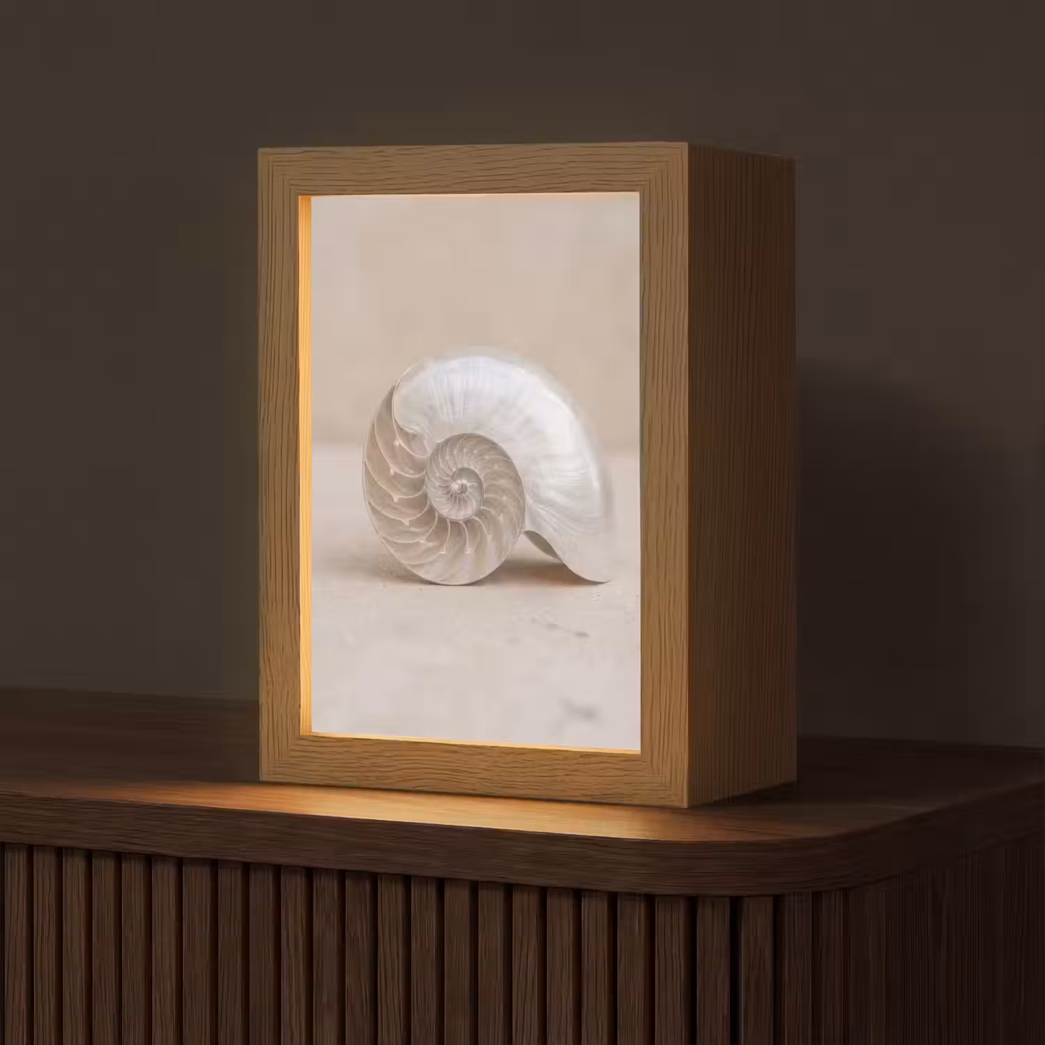 Schelp - Spiraal - Beige Light Box met kabel (Tafellamp) klein -z3d_website