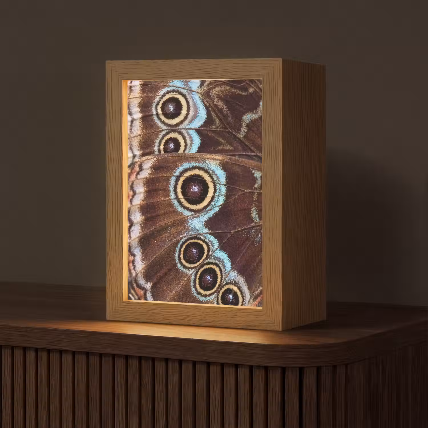 Vleugels - Vlinder - Blauw Light Box met kabel (Tafellamp) klein -z3d_website