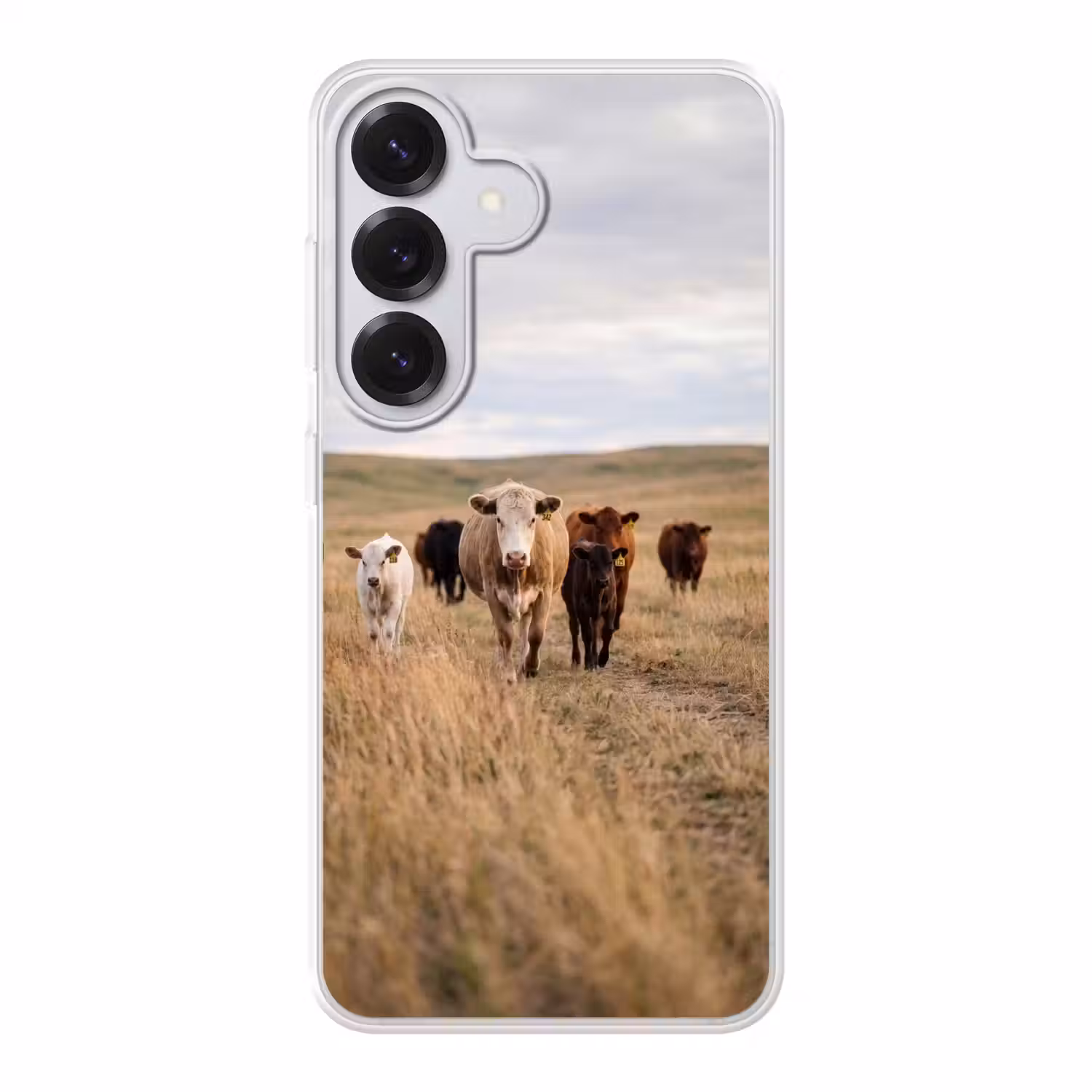Runderen - Kudde - Landschap - Weide - Rustig Telefoonhoesje Samsung Galaxy S26 klein -3d