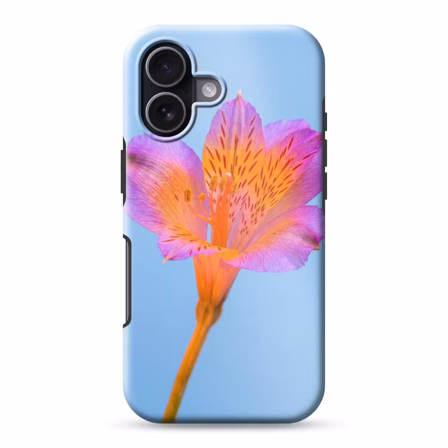 Bloem - Detail - Kleurrijk Toughcase MagSafe Apple iPhone 17 klein -3d