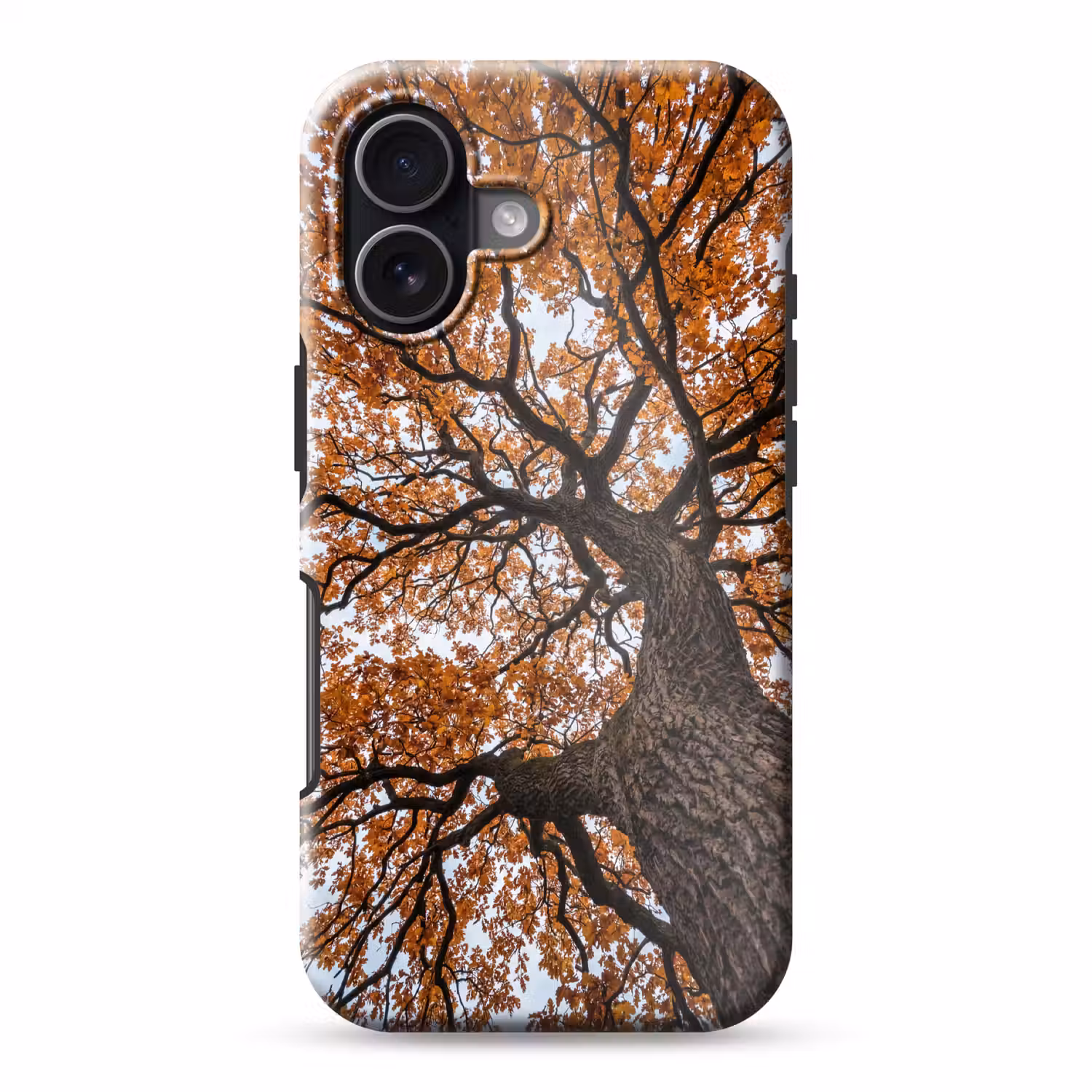 Boom - Bladerdak - Herfst - Oranje - Sfeervol Toughcase MagSafe Apple iPhone 17 klein -3d