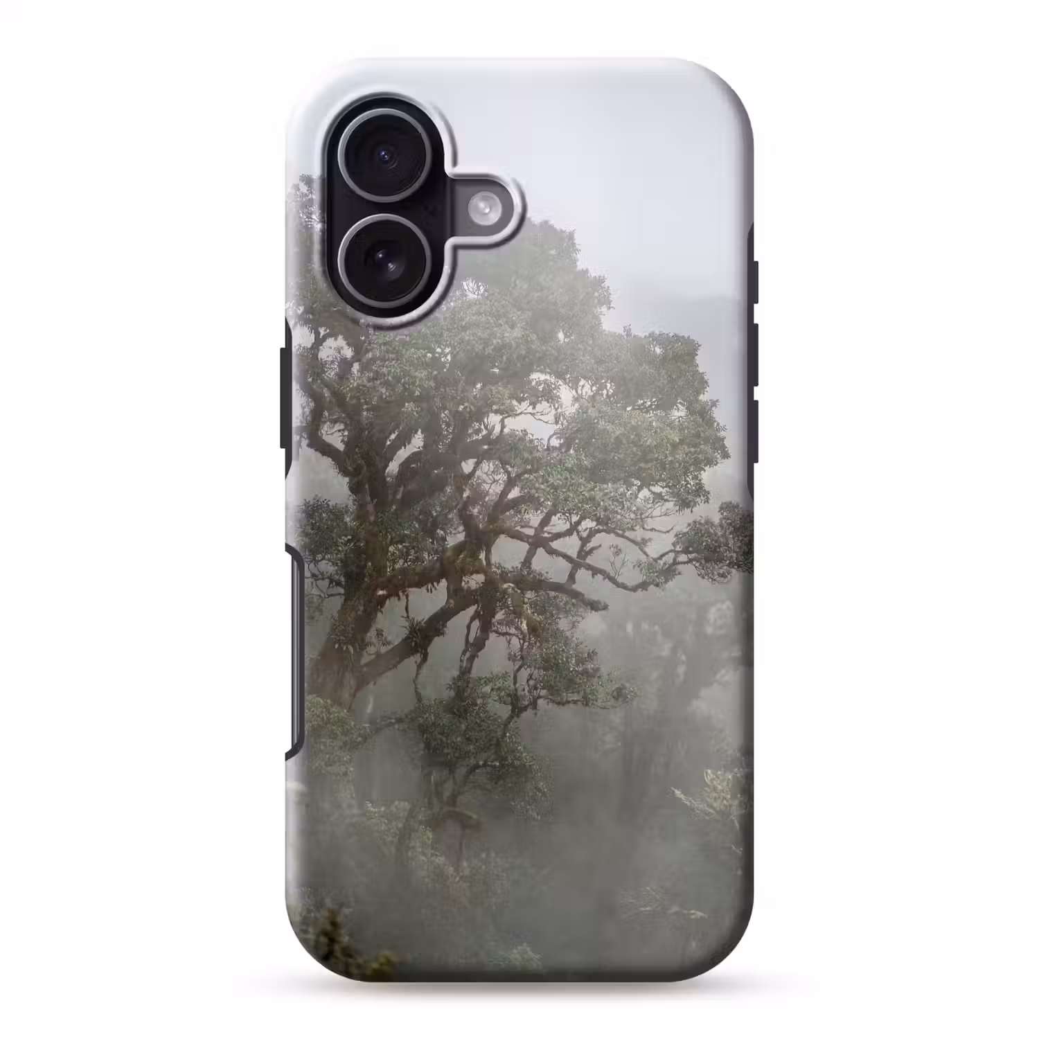 Boom - Mistig - Bos - Groen - Natuur Toughcase MagSafe Apple iPhone 17 klein -3d