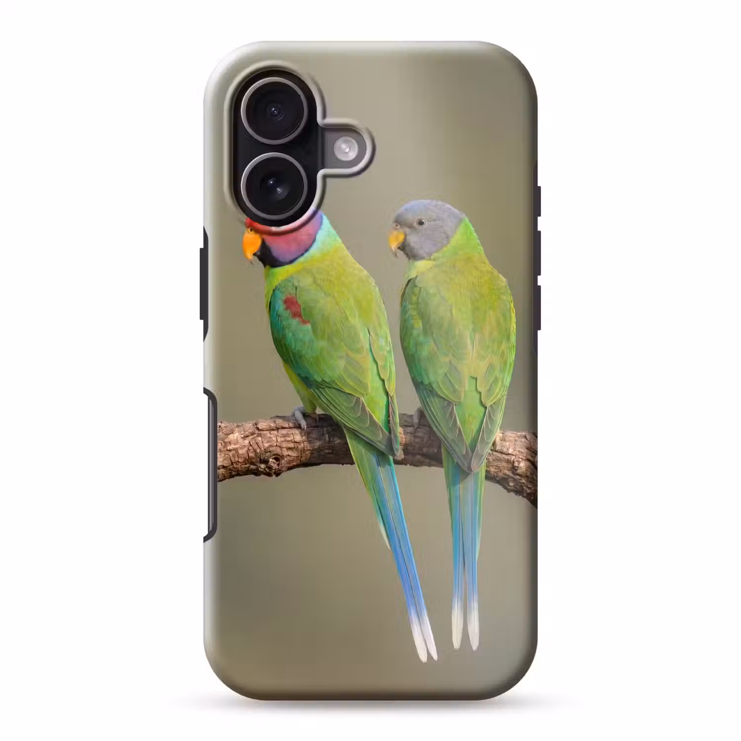 Papagaai - Tak - Natuur - Kleurrijk Toughcase MagSafe Apple iPhone 17 klein -3d