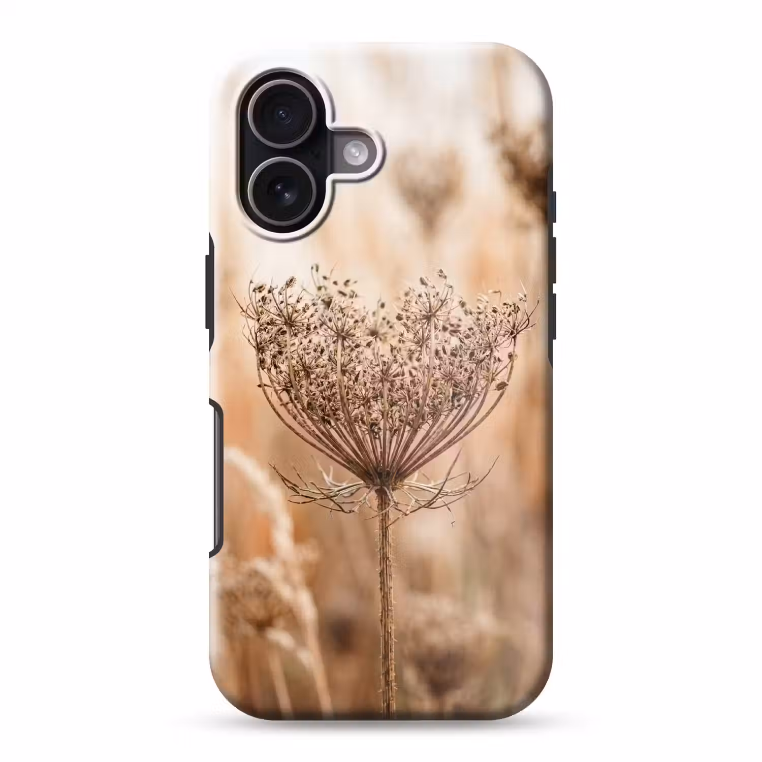 Schermbloem - Droogbloem - Winter - Beige - Minimalistisch Toughcase MagSafe Apple iPhone 17 klein -3d