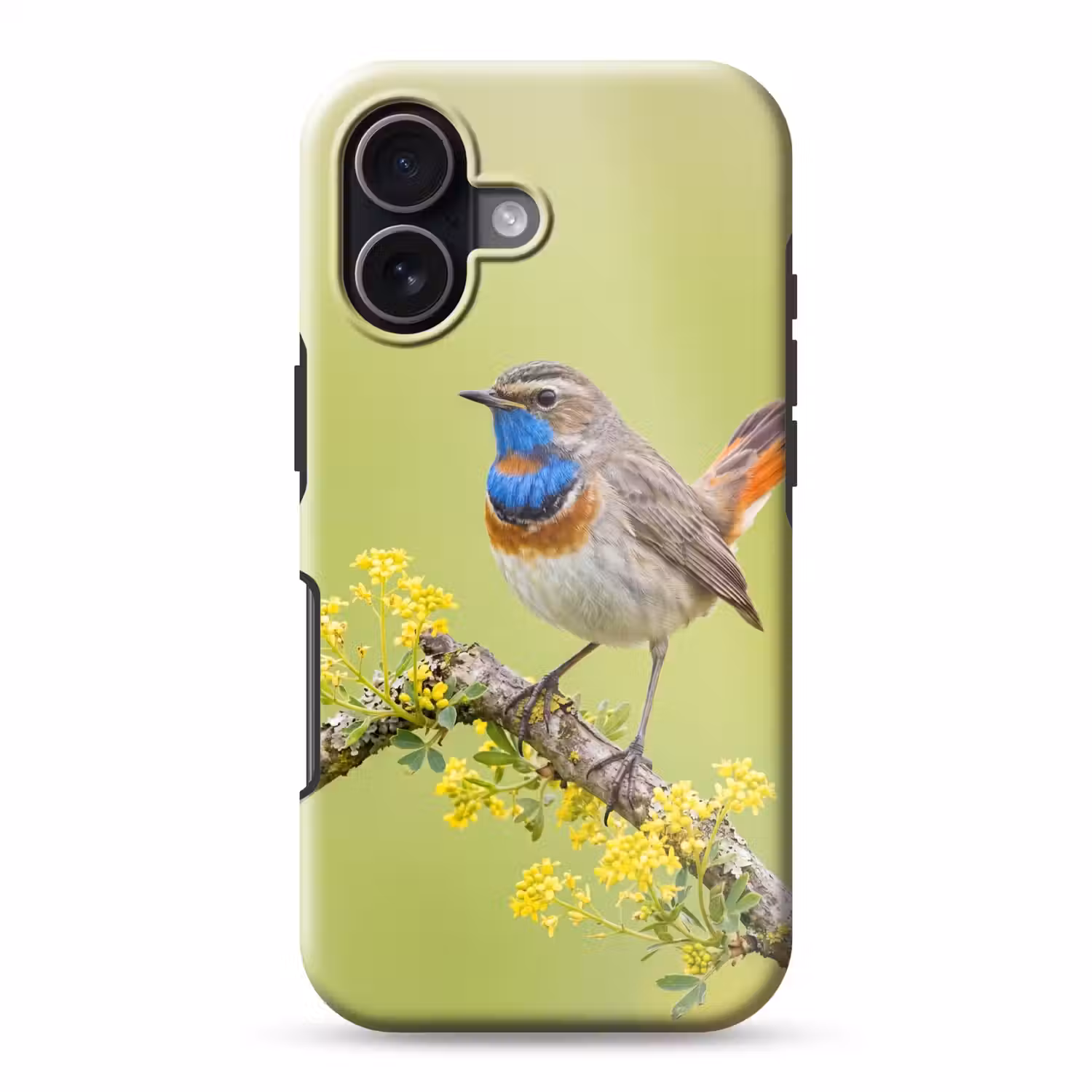 Vogel - Tak - Natuur - Kleurrijk Toughcase MagSafe Apple iPhone 17 klein -3d