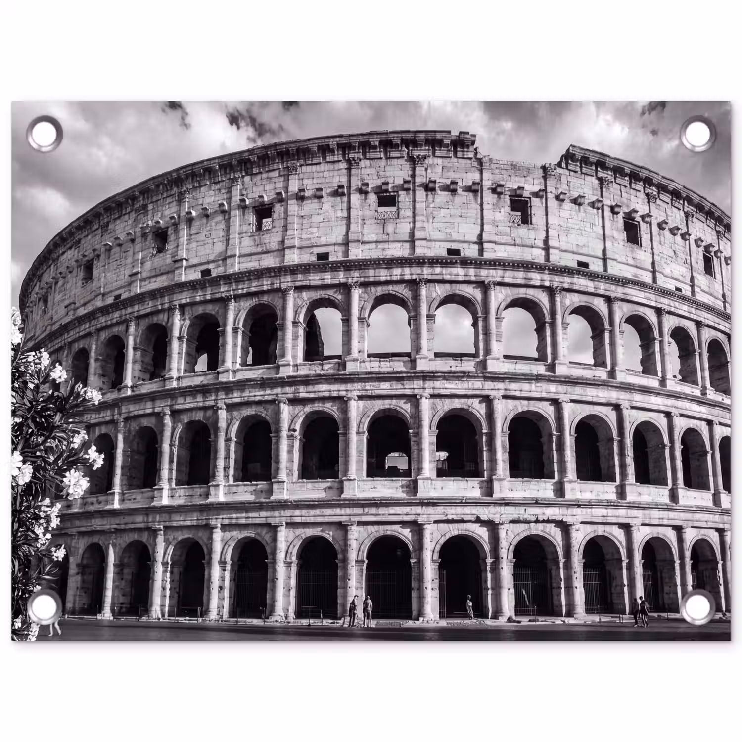 Architectuur - Colosseum - Rome - Historisch - Zwart-wit tuinposter los doek klein -3d