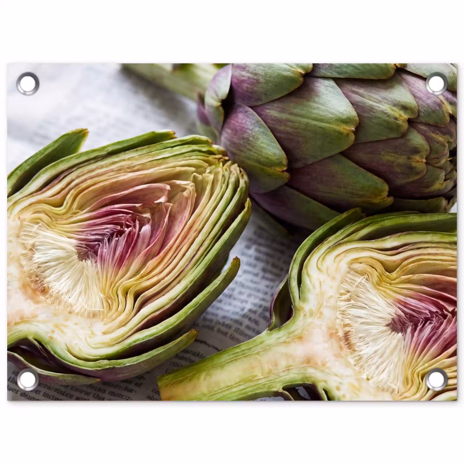 Tuinposter - Artisjok - Doorgesneden - Eten - Artisjok - Doorgesneden - Eten tuinposter los doek klein