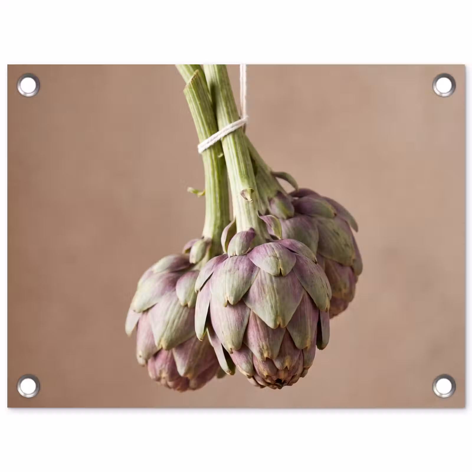 Tuinposter - Artisjokken - Hangend - Groenten - Artisjokken - Hangend - Groenten tuinposter los doek klein