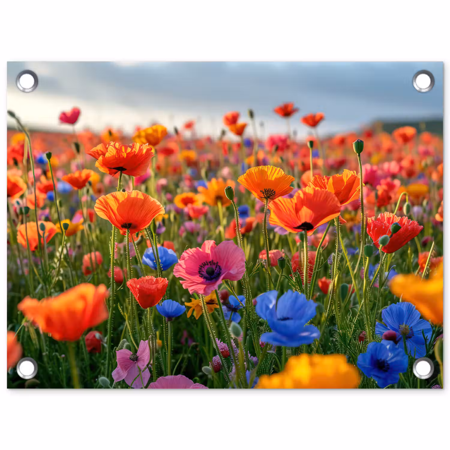 Bloemenweide in volle bloei tuinposter los doek klein -3d
