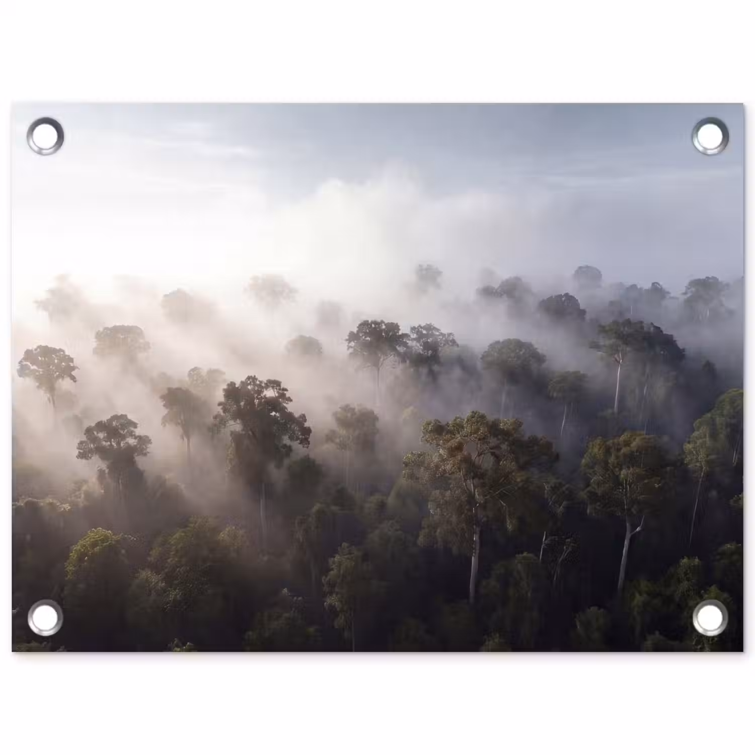 Bos - Mist - Natuur - Groen tuinposter los doek klein -3d