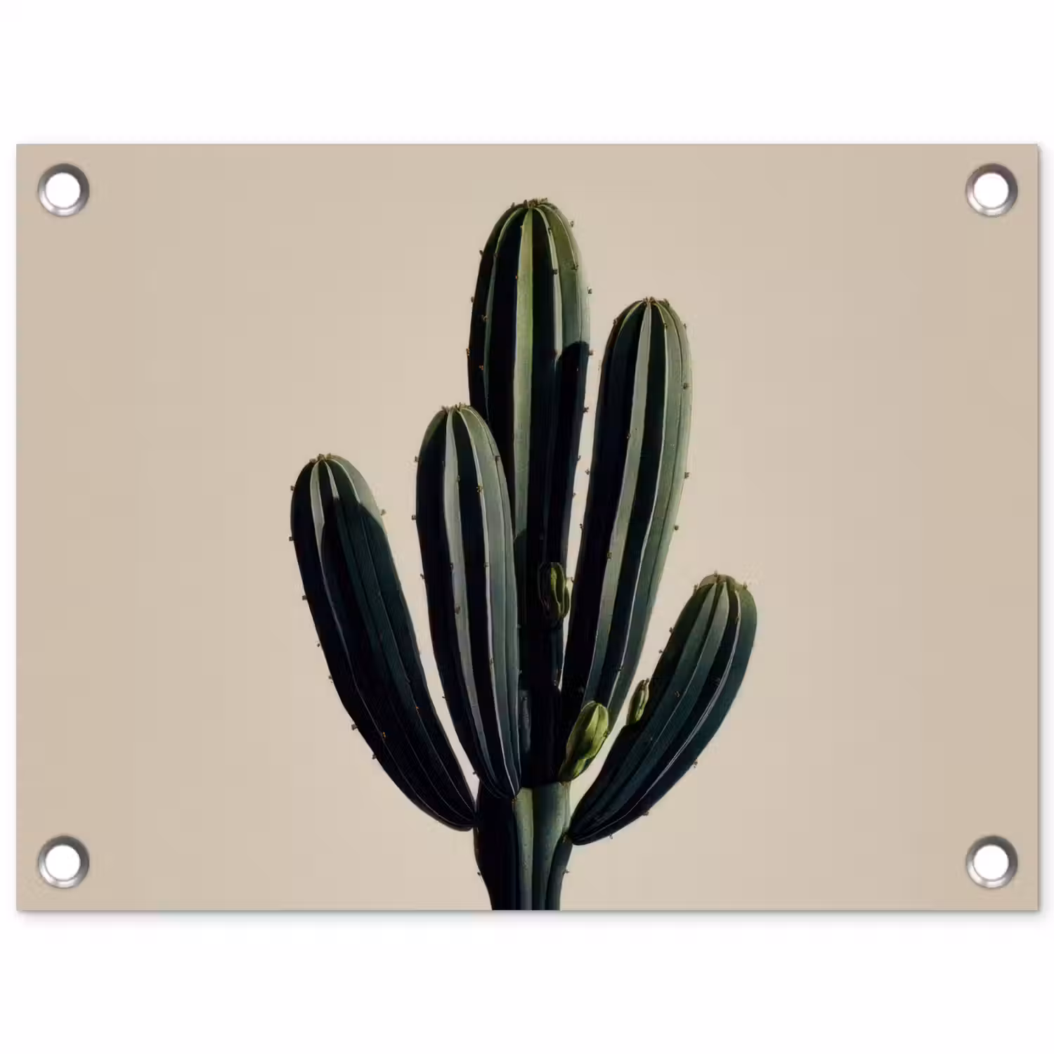 Cactus - Subtiel - Groen tuinposter los doek klein -3d