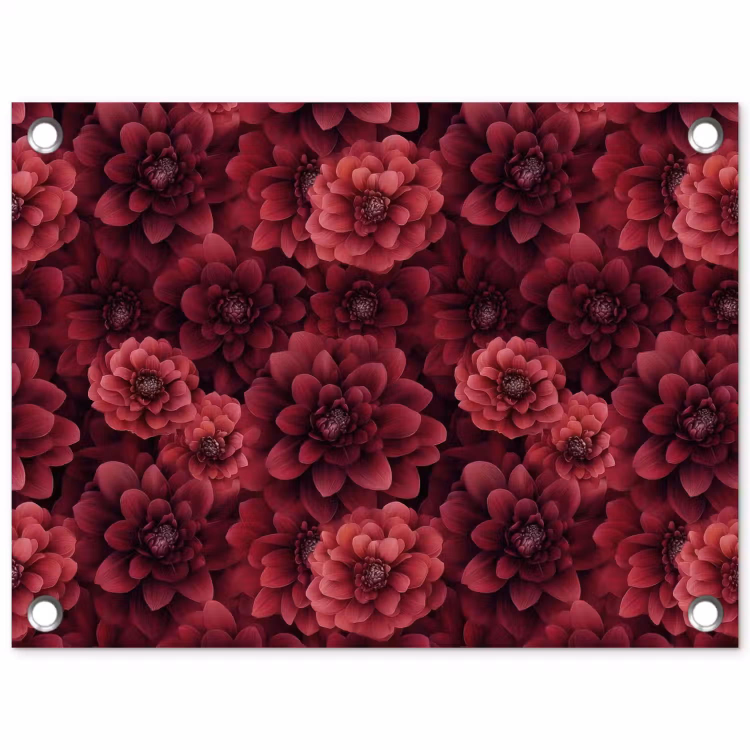 Dahlias - Bloemen - Rood tuinposter los doek klein 239 -3d