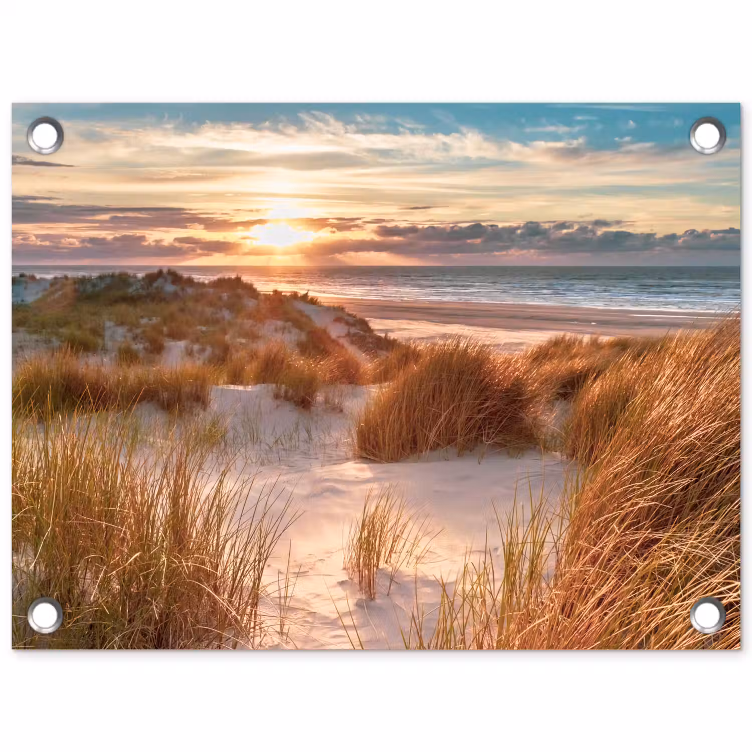 Duin - Planten - Zonsondergang - Strand - Zee tuinposter los doek klein -3d