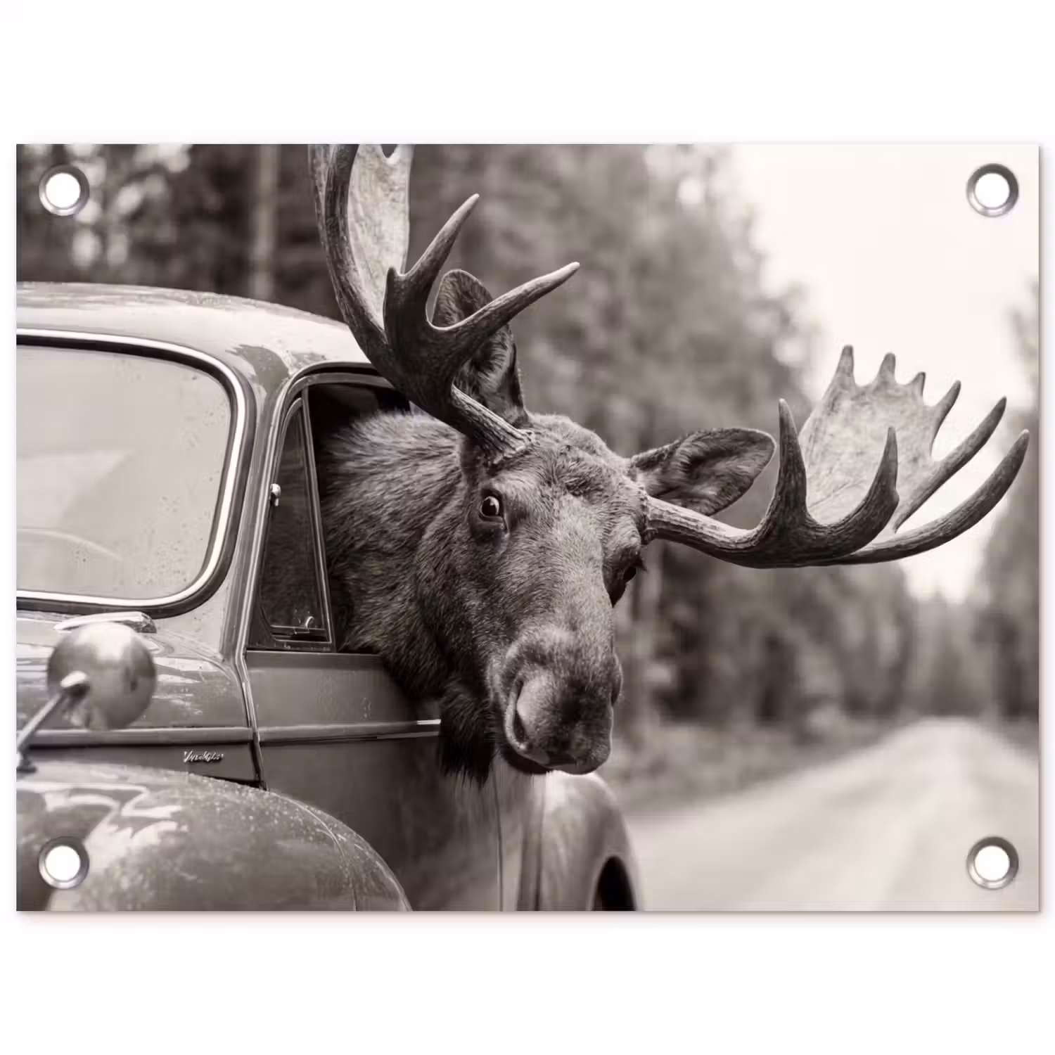 Eland - Auto - Gewei - Zwart - Wit tuinposter los doek klein -3d