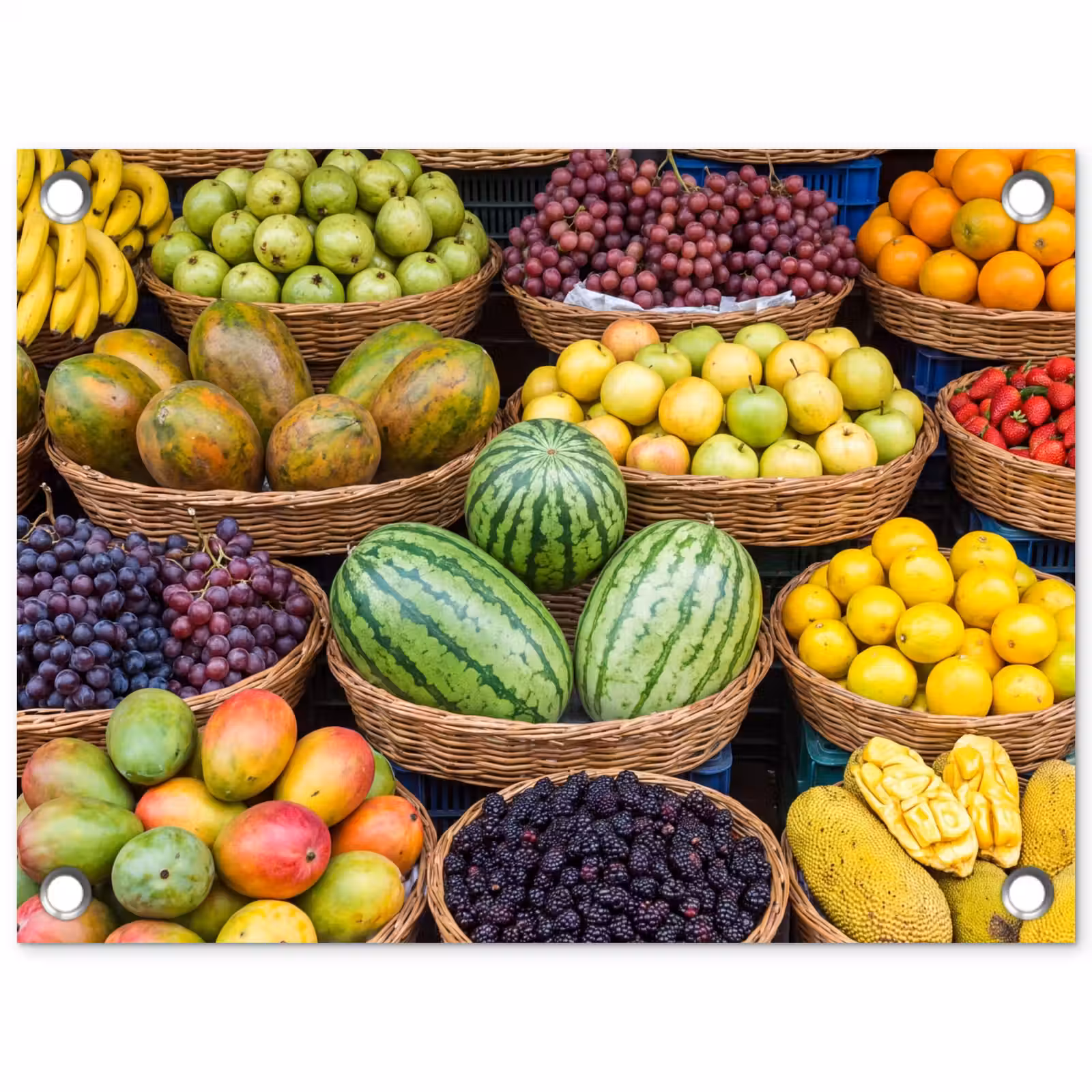 Tuinposter - Fruit - Markt - Kleurrijk - Fruit - Markt - Kleurrijk tuinposter los doek klein