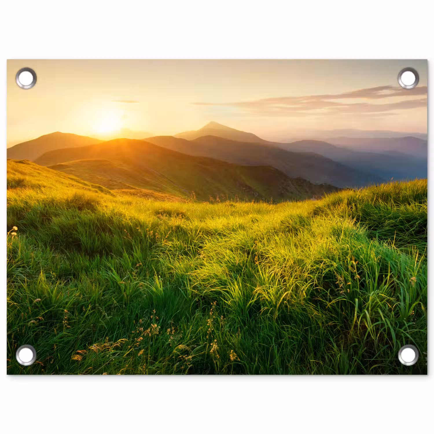 Gras - Heuvels - Zon - Natuur - Landschap tuinposter los doek klein -3d