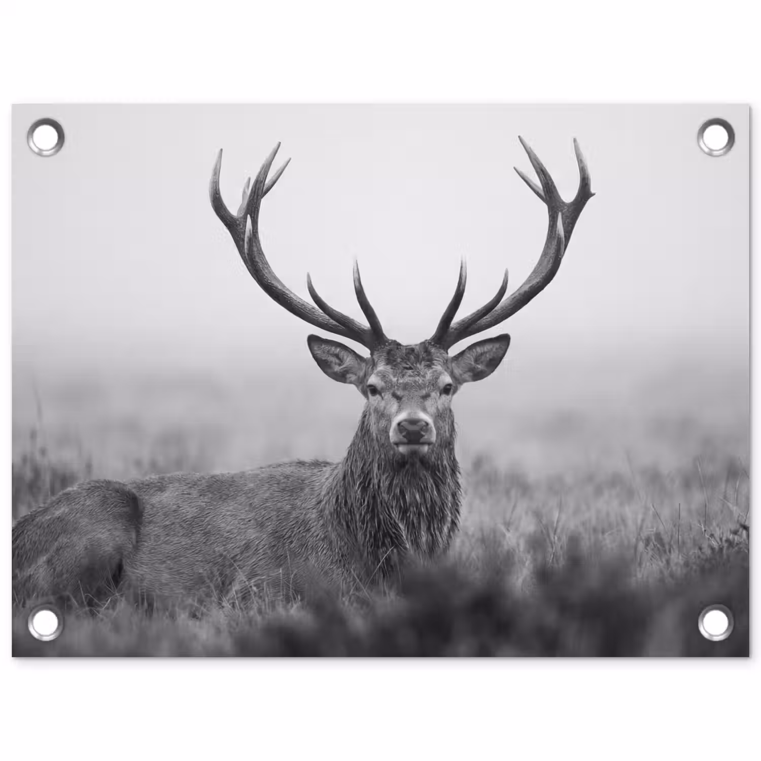 Hert - Mistig - Zwart - Wit tuinposter los doek klein -3d