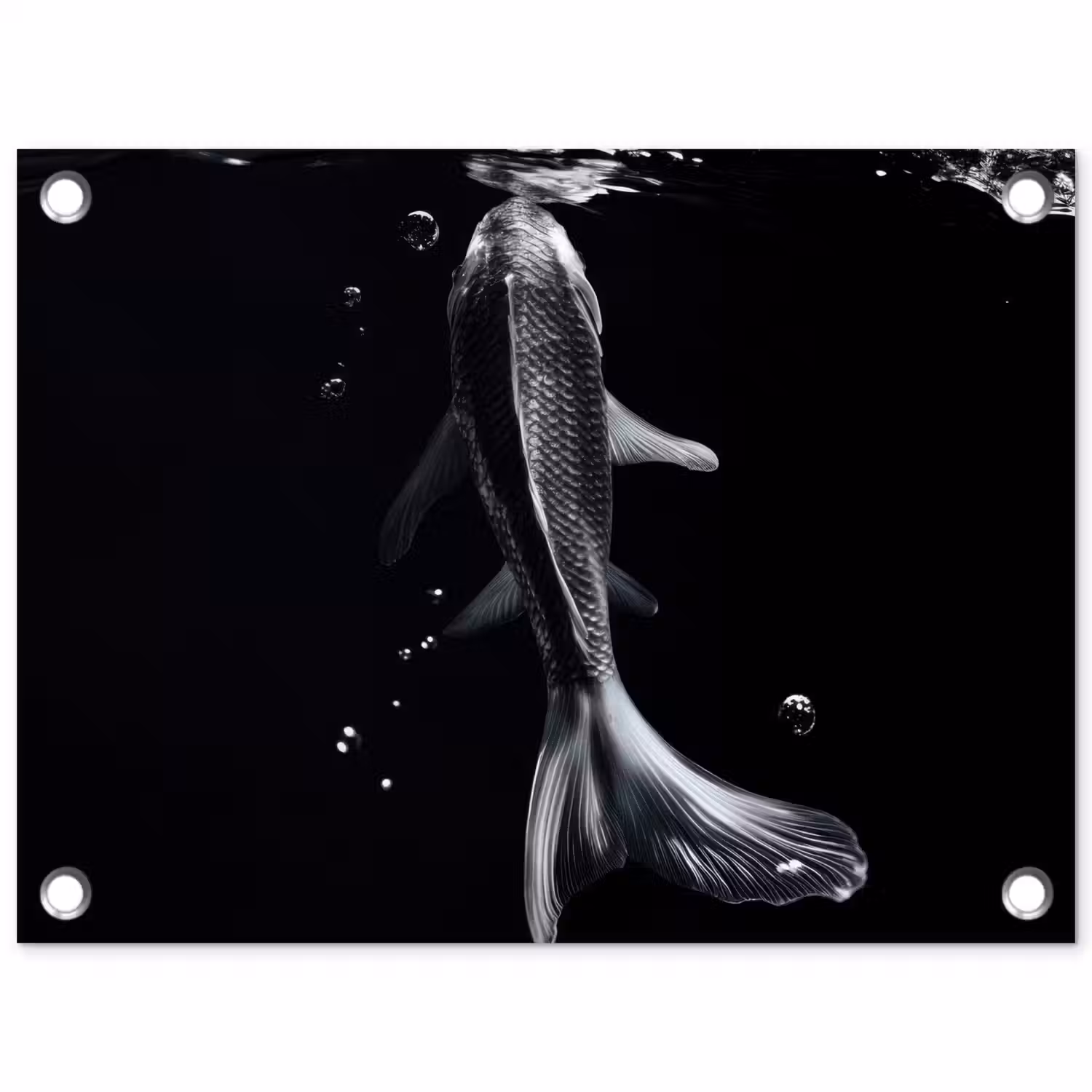 Koi - Vissen - Water - Zwart tuinposter los doek klein -3d