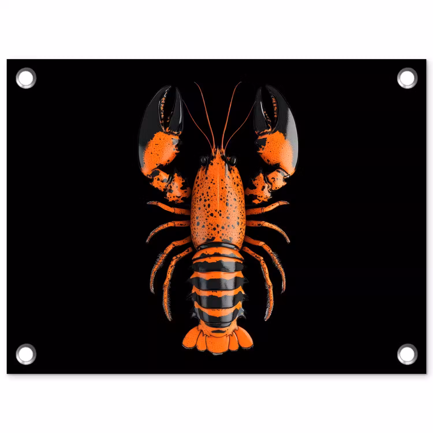 Kreeft - Oranje - Zwart - Modern tuinposter los doek klein -3d