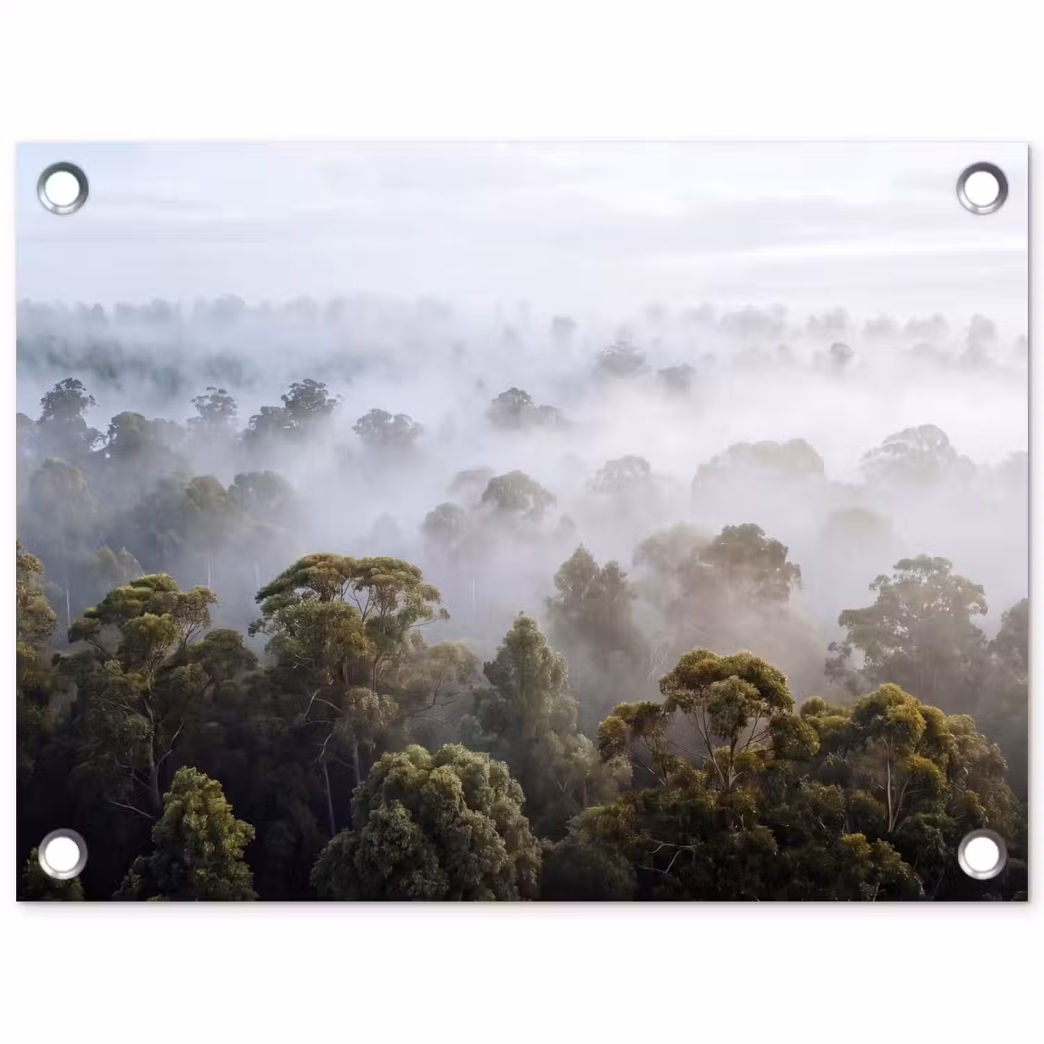 Natuur - Mist - Bos - Ochtend - Goud tuinposter los doek klein -3d