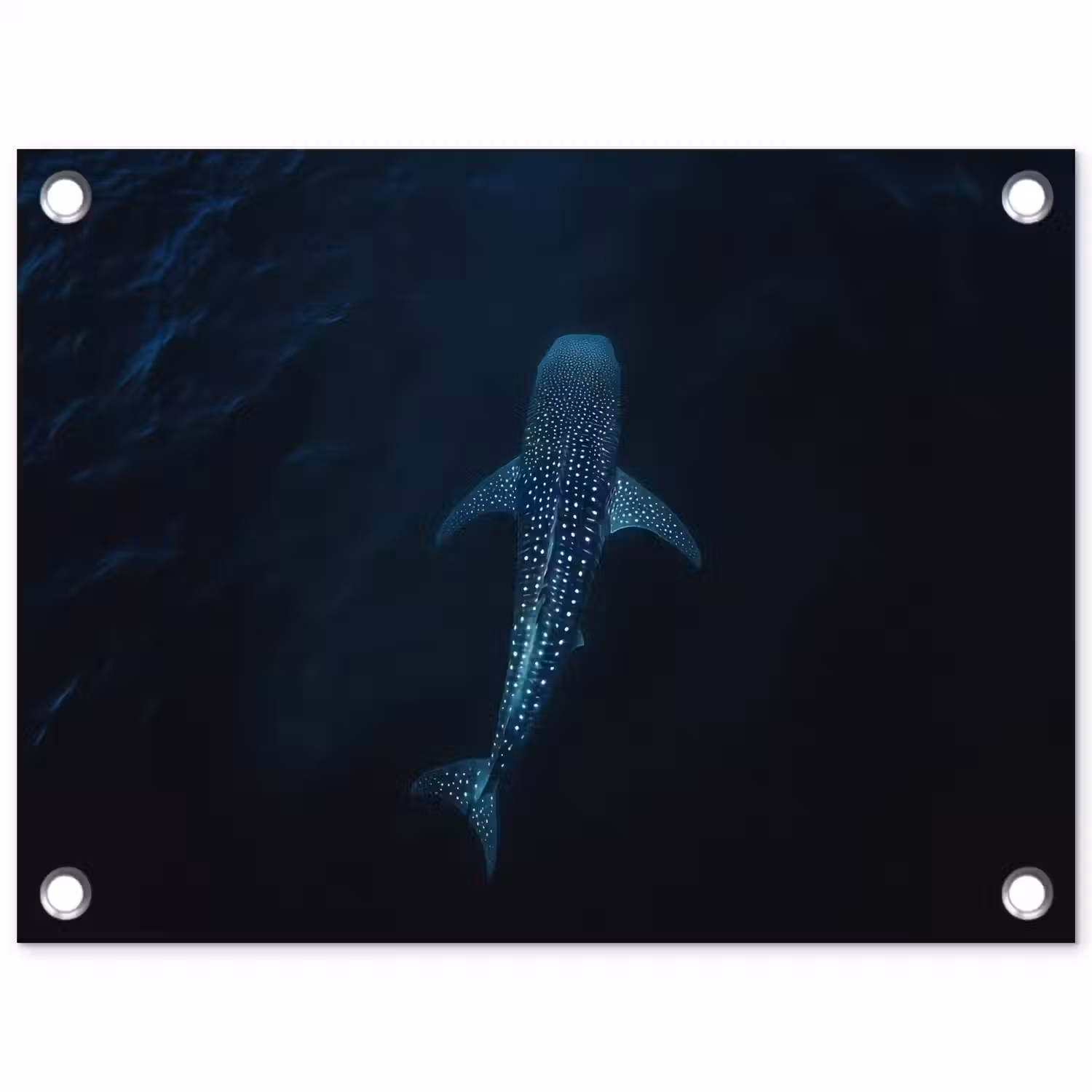 Oceaan - Walvishaai - Donkerblauw - Vlekken tuinposter los doek klein -3d