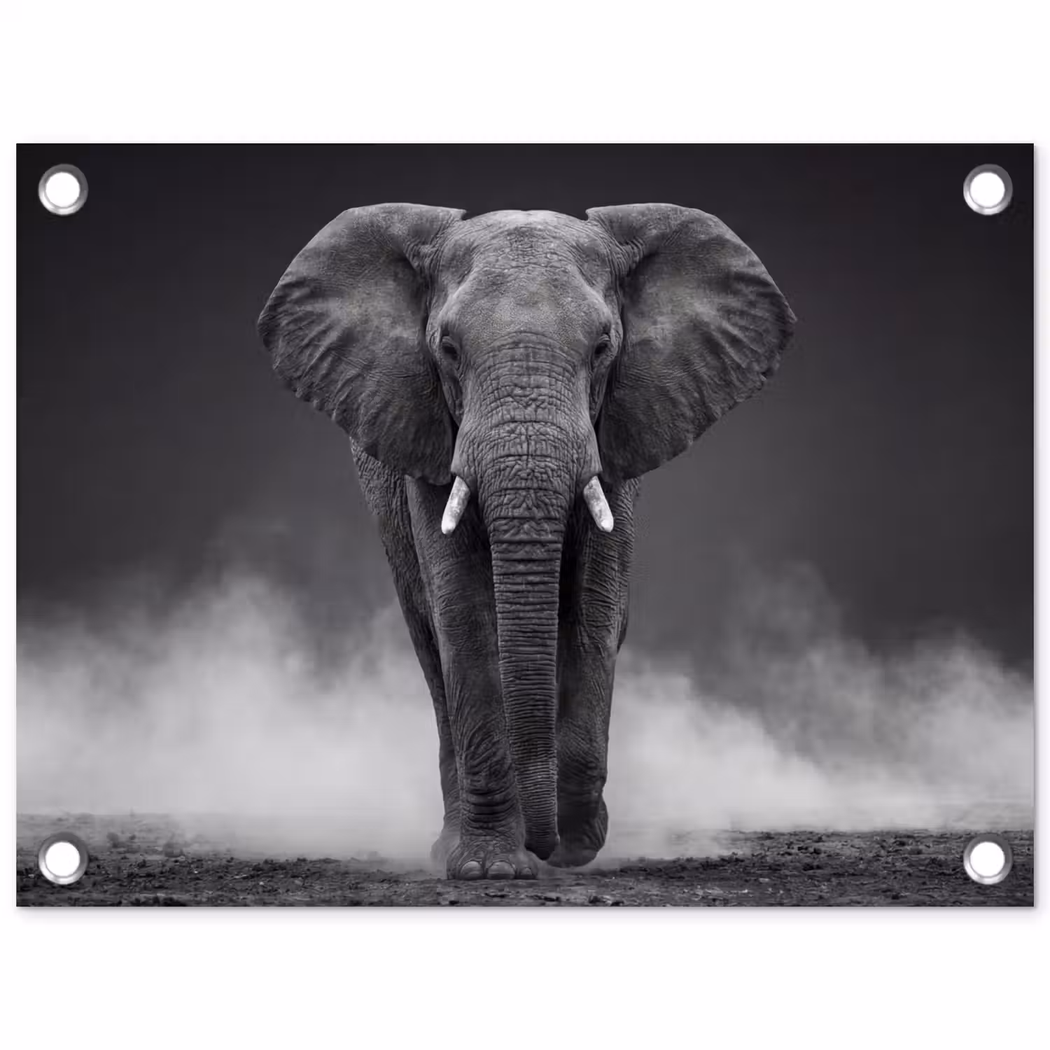 Olifant - Zwart - Wit - Rook tuinposter los doek klein -3d