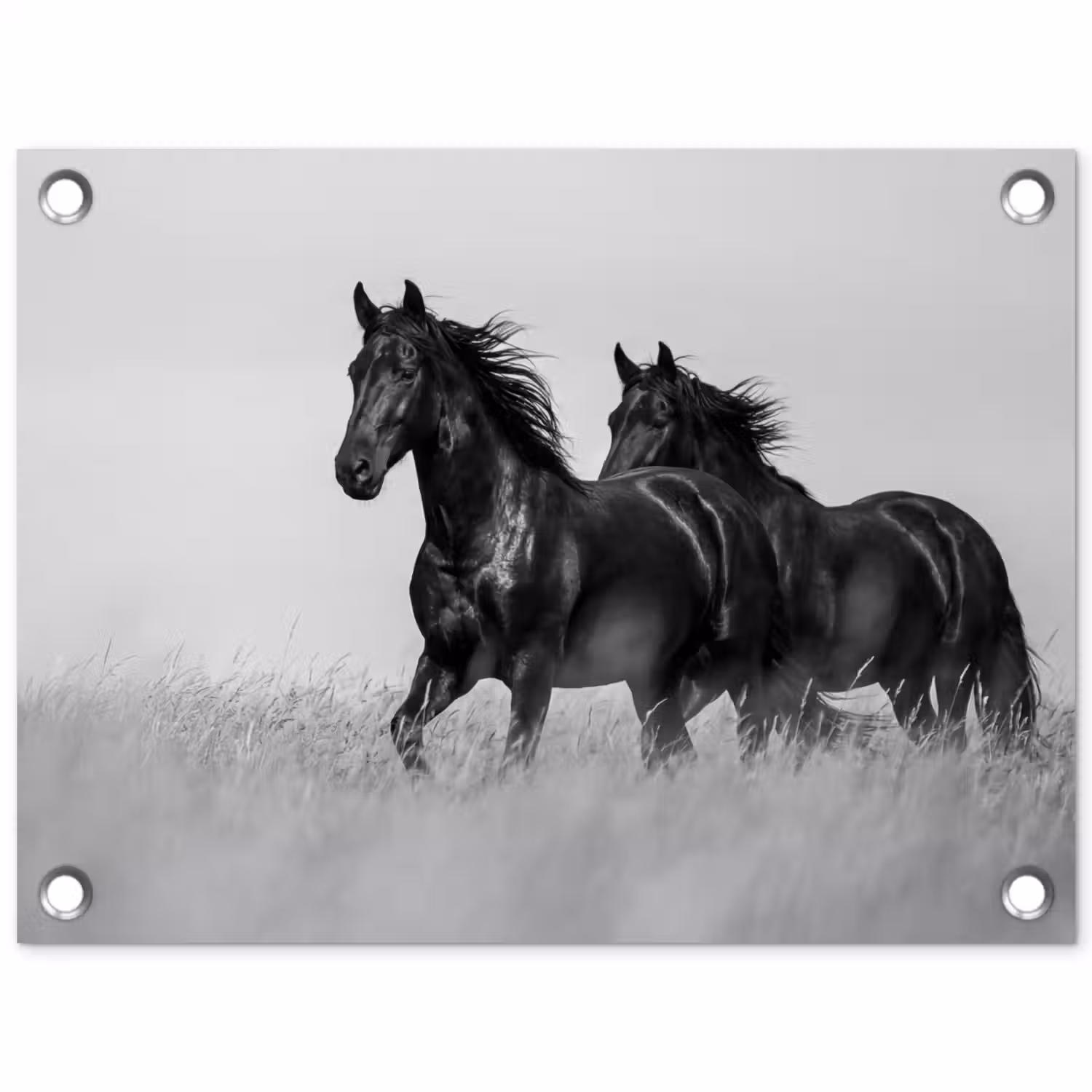 Paarden - Gras - Zwart - Wit tuinposter los doek klein -3d