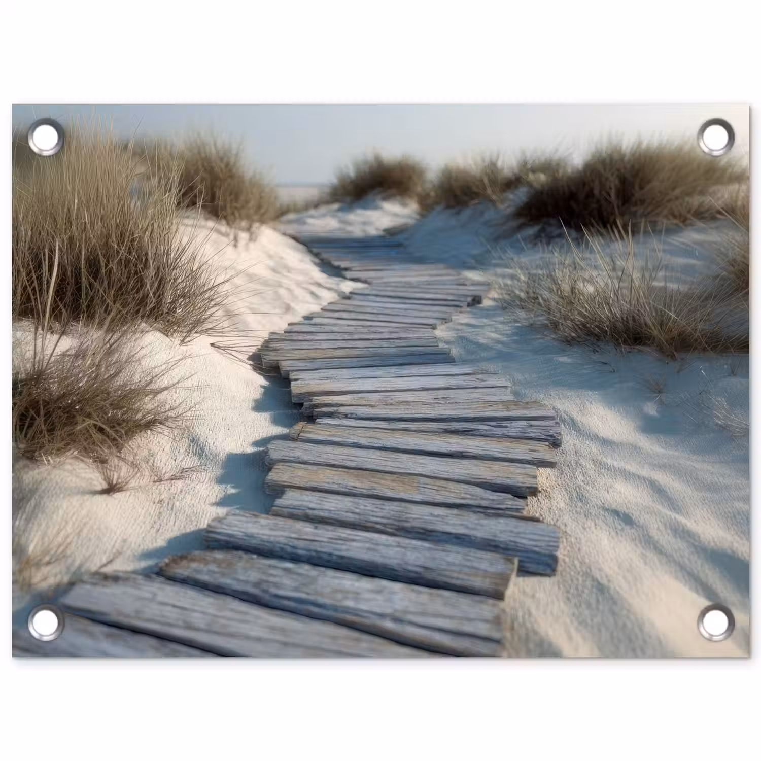 Pad - Planken - Duinen - Gras tuinposter los doek klein -3d