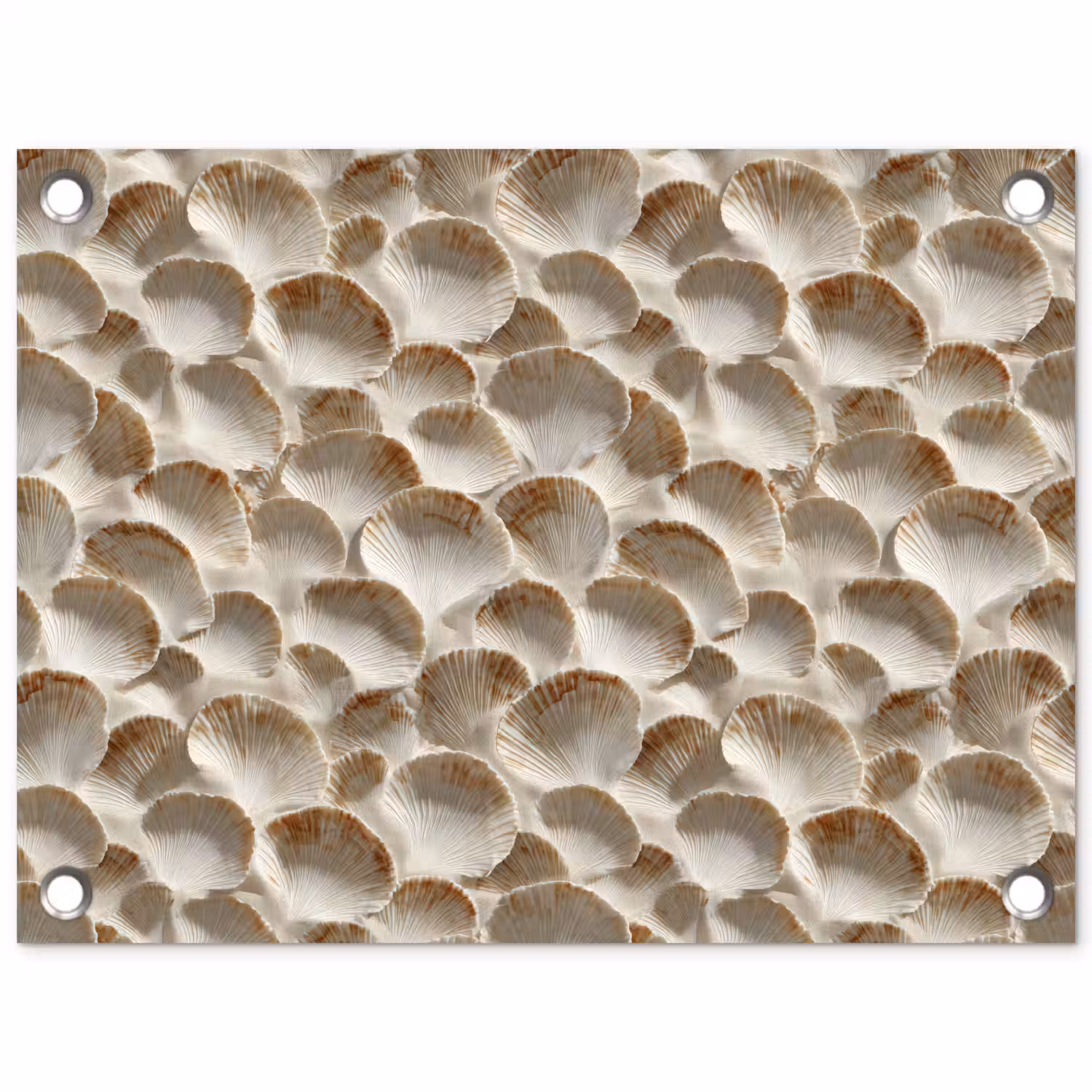 Schelpen - Waaiervorm - Wit tuinposter los doek klein 239 -3d