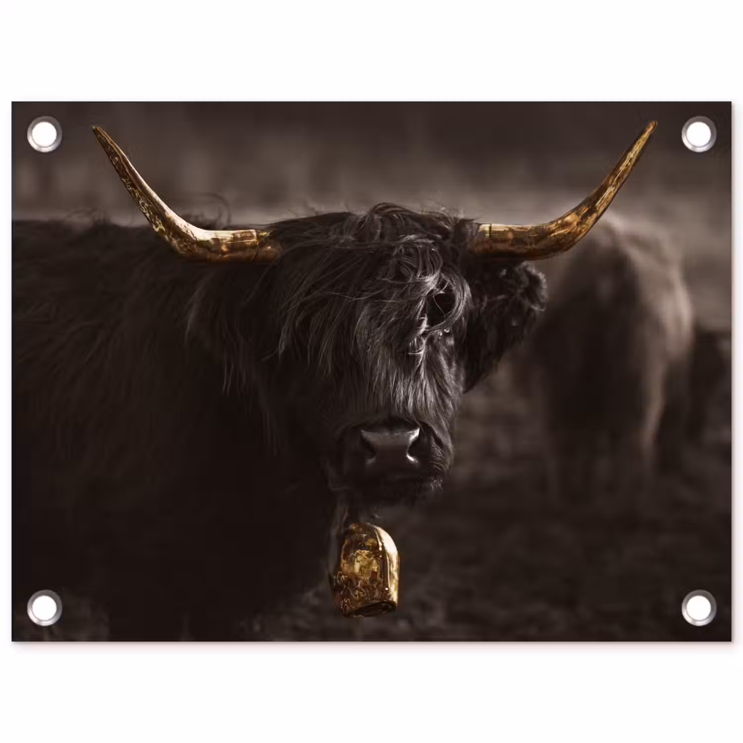 Schotse hooglander - Goud - Koebel - Hoorns - Dieren tuinposter los doek klein -3d