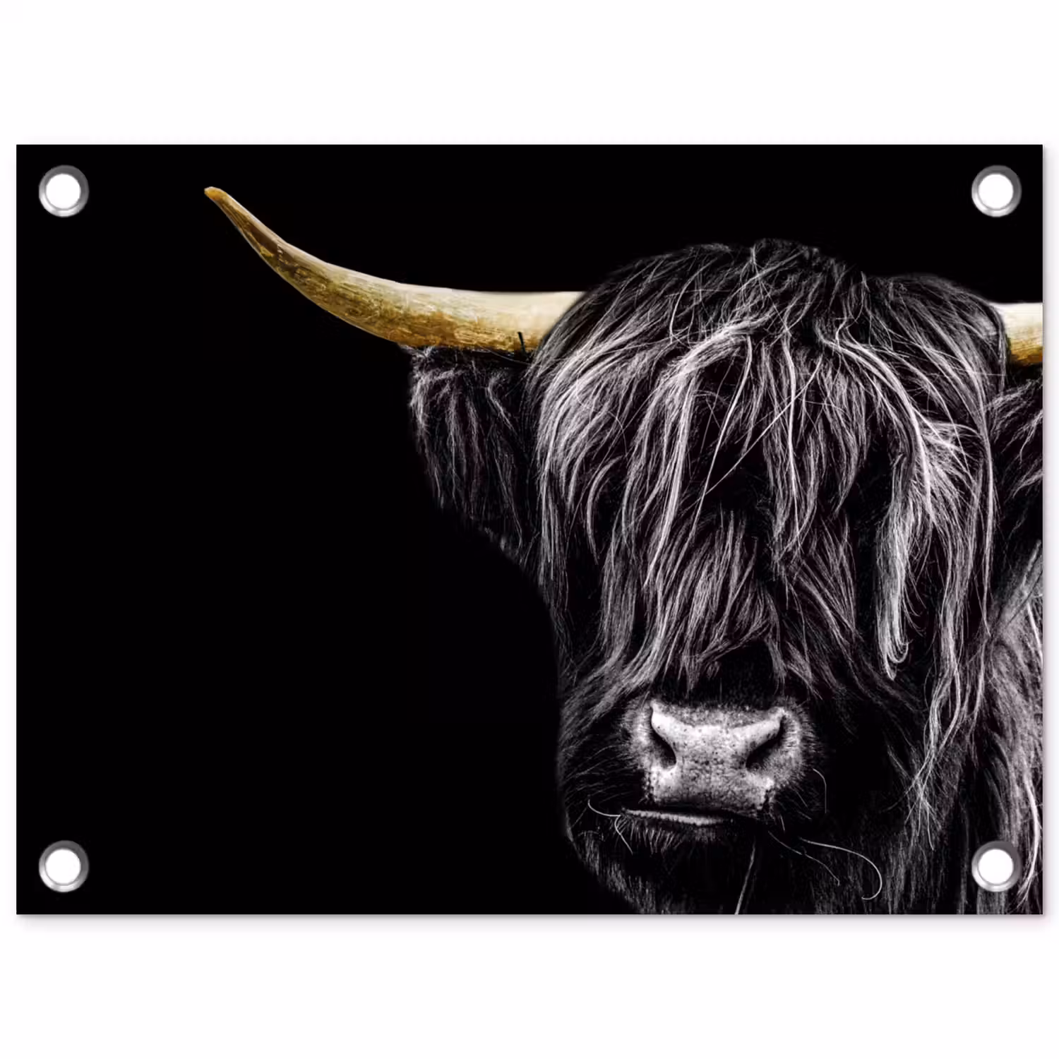 Schotse hooglander - Goud - Vacht - Dieren - Koe tuinposter los doek klein -3d