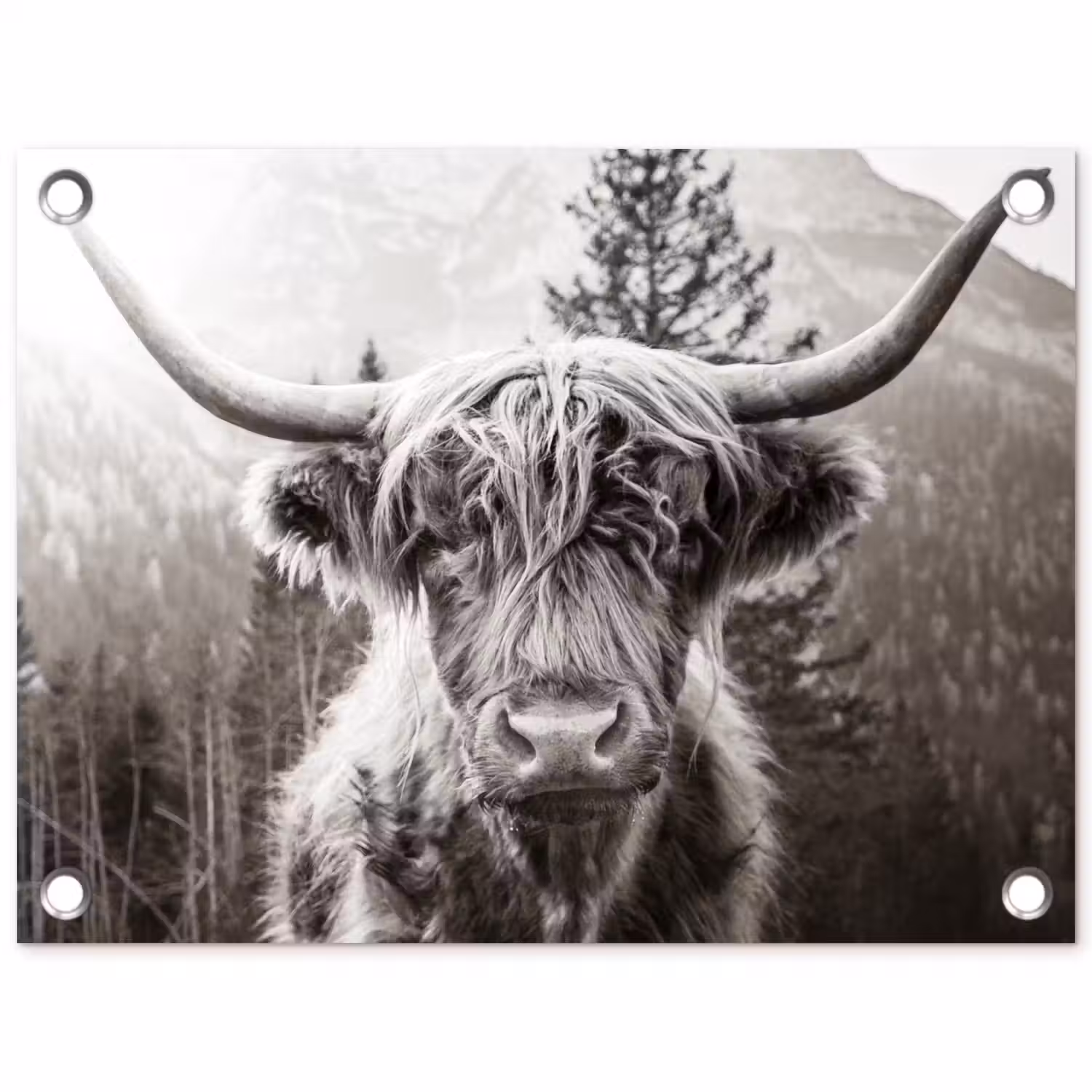 Schotse hooglander - Koe - Dieren - Zwart - Wit tuinposter los doek klein -3d