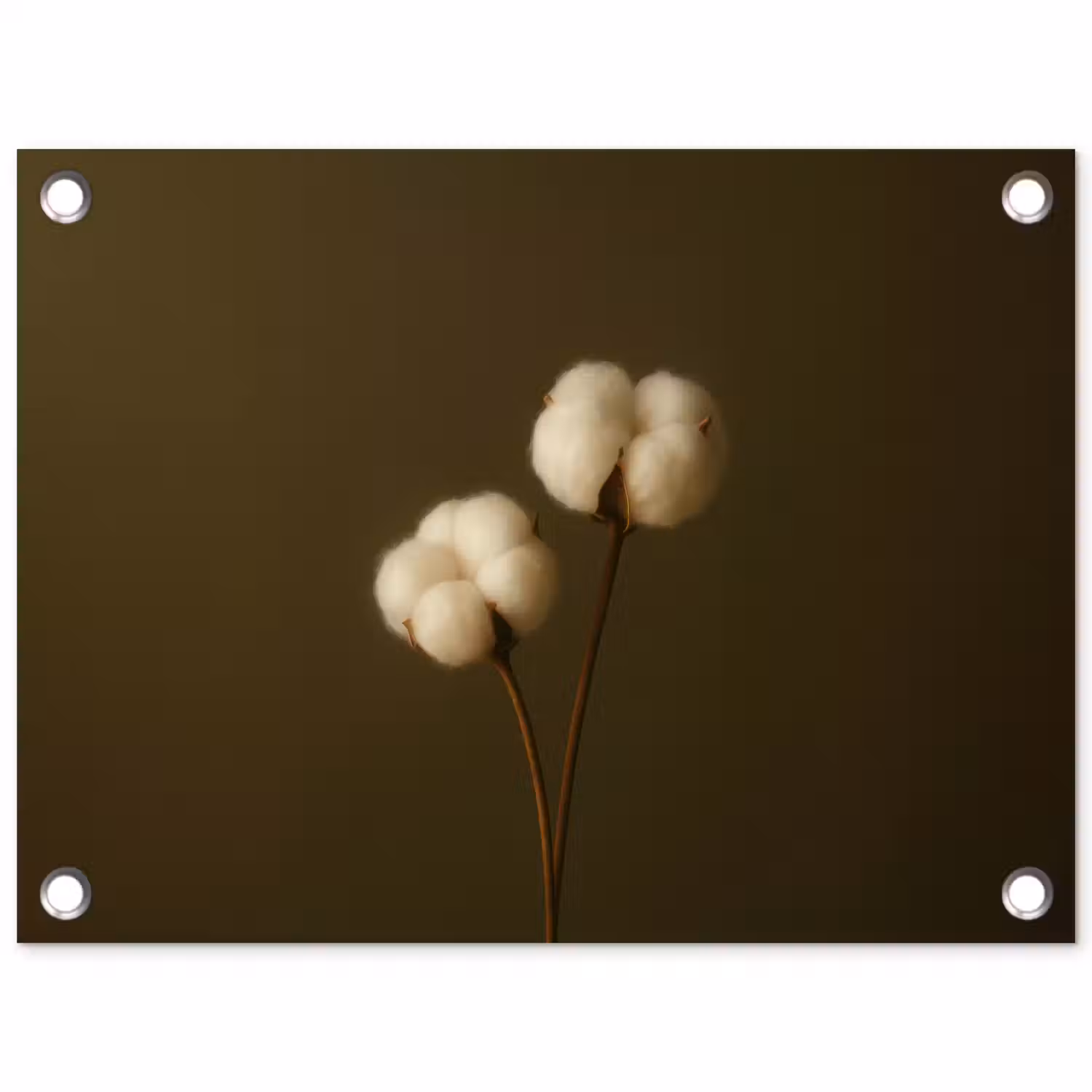 Takken - Katoen - Wit - Bollen tuinposter los doek klein -3d