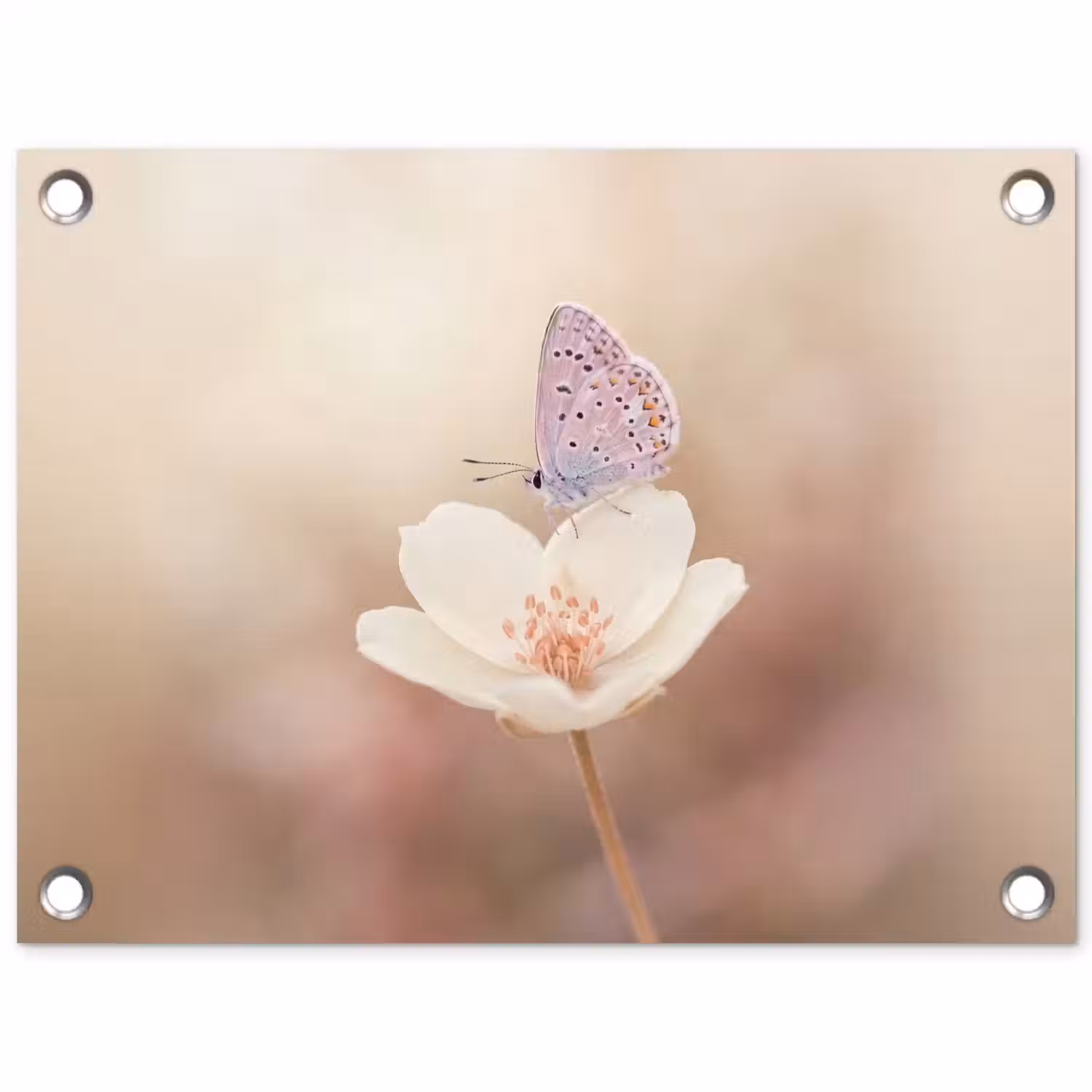 Vlinder - Bloem - Blauw tuinposter los doek klein -3d