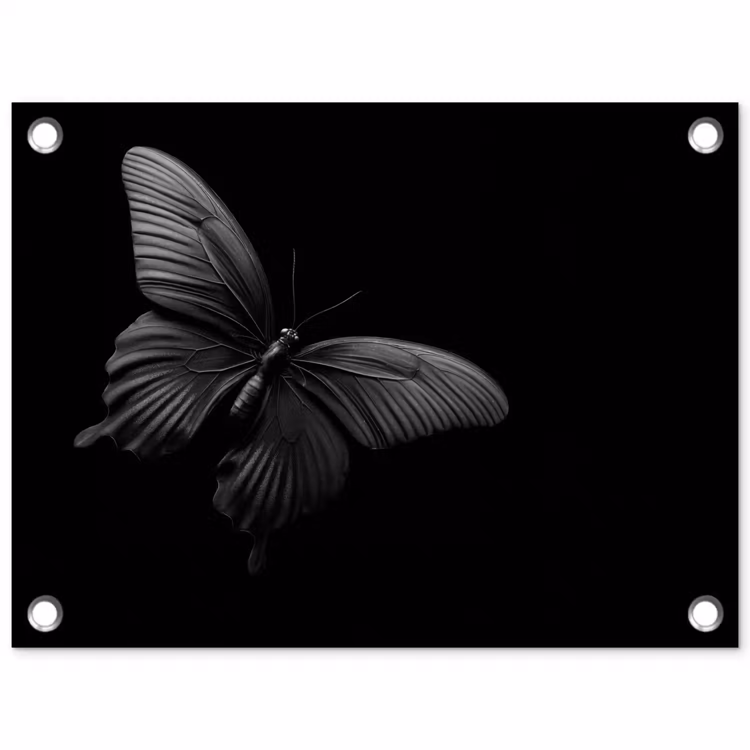Vlinder - Zwart - Insect - Dieren tuinposter los doek klein -3d