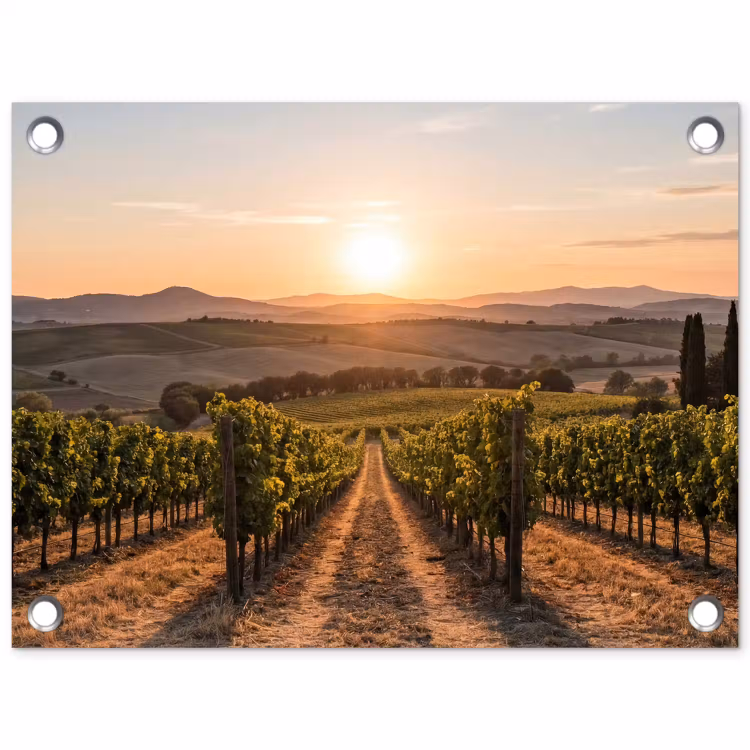 Wijngaard - Zonsondergang - Landschap tuinposter los doek klein -3d