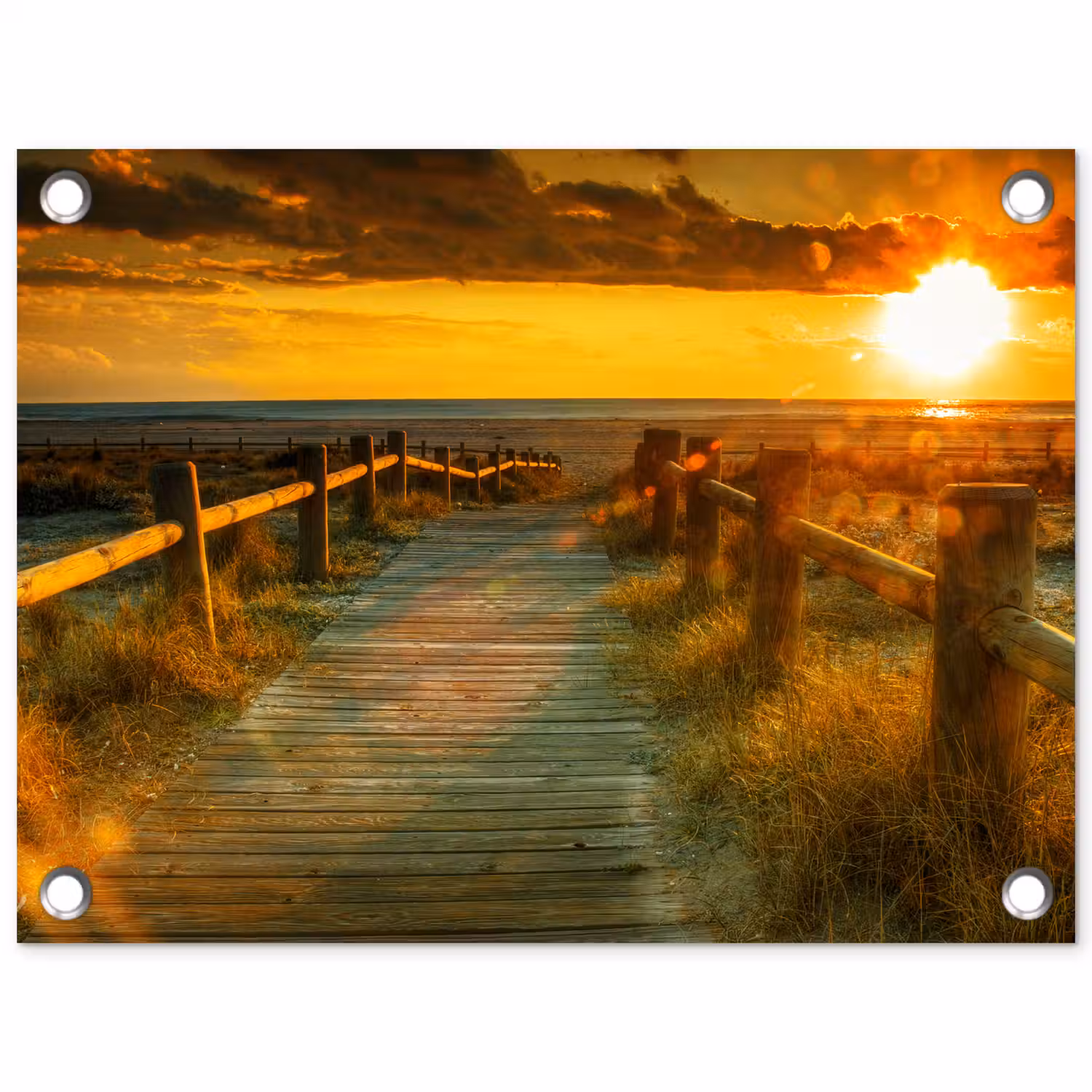 Zon - Strand - Duin - Horizon - Gras - Pad - Oranje tuinposter los doek klein -3d