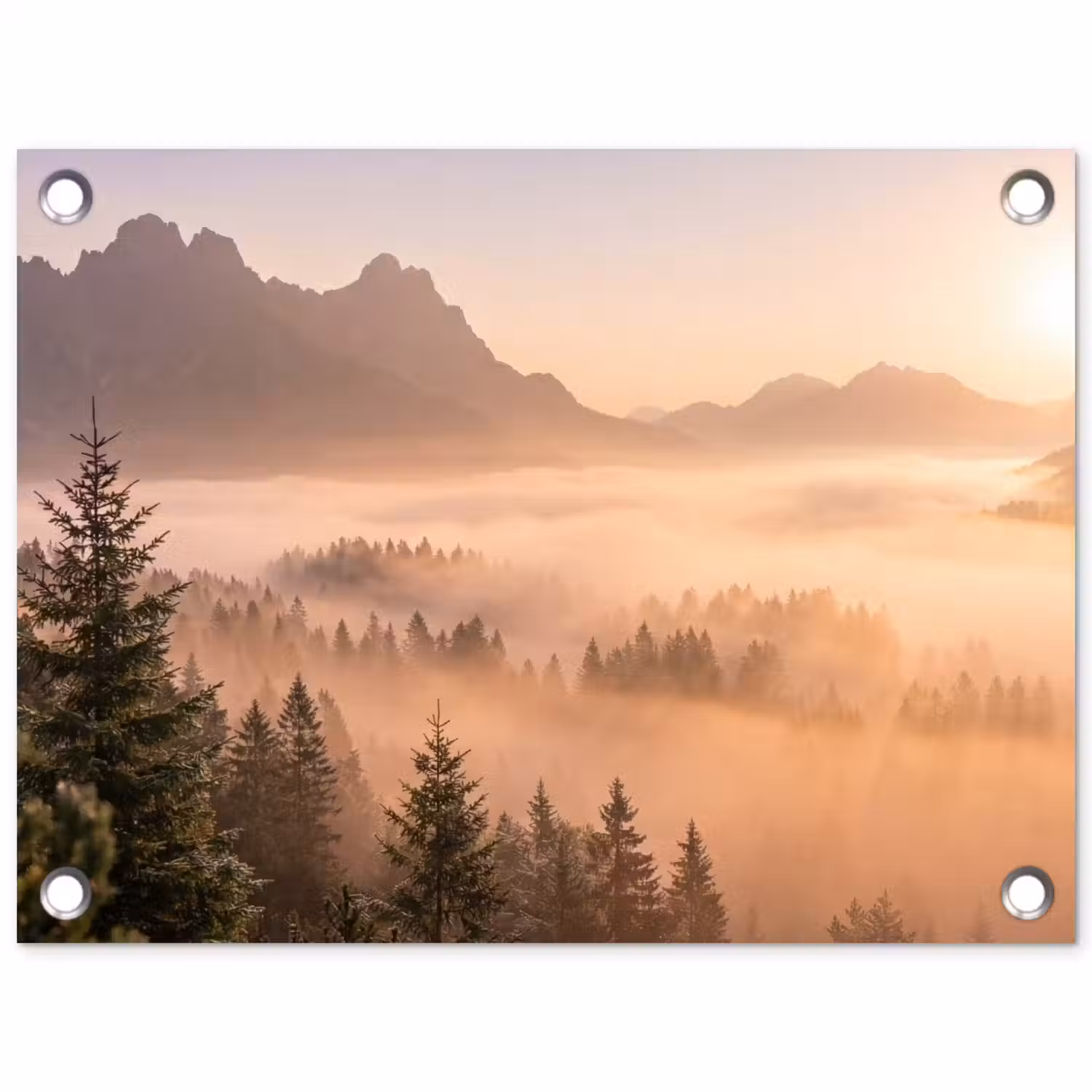 Zonlicht - Mist - Bergen - Bomen tuinposter los doek klein -3d
