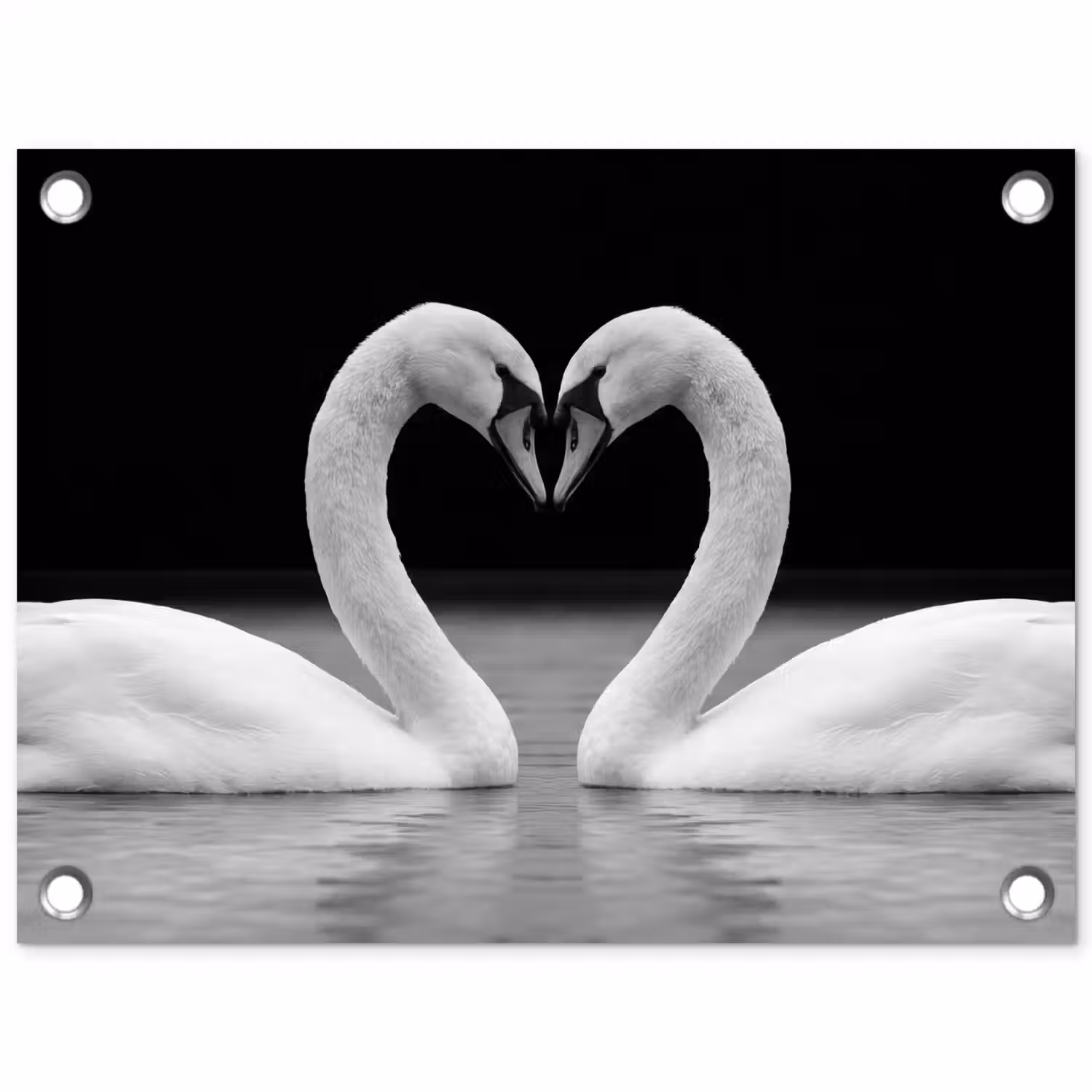 Zwanen - Hart - Zwart - Wit tuinposter los doek klein -3d